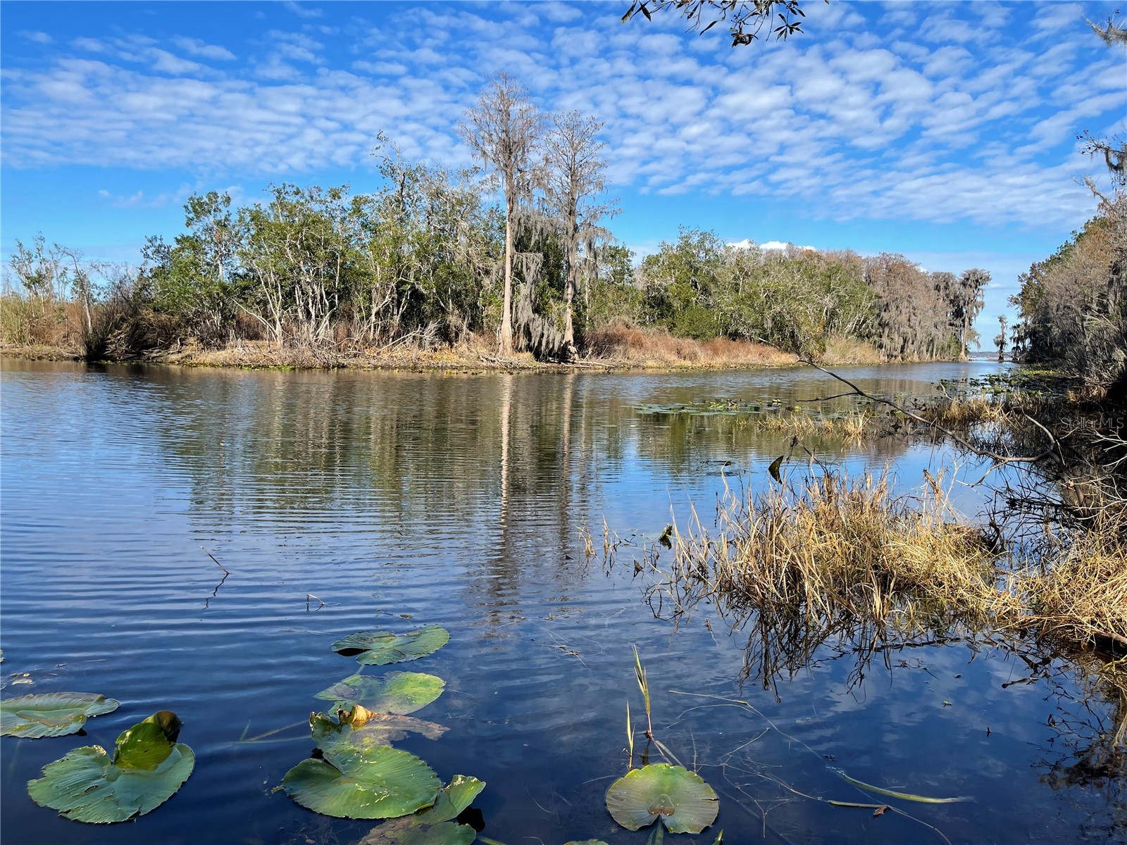 24510 Ne State Rd 26 Melrose FL 32666 - LAKE SANTA FE GC536541 image13