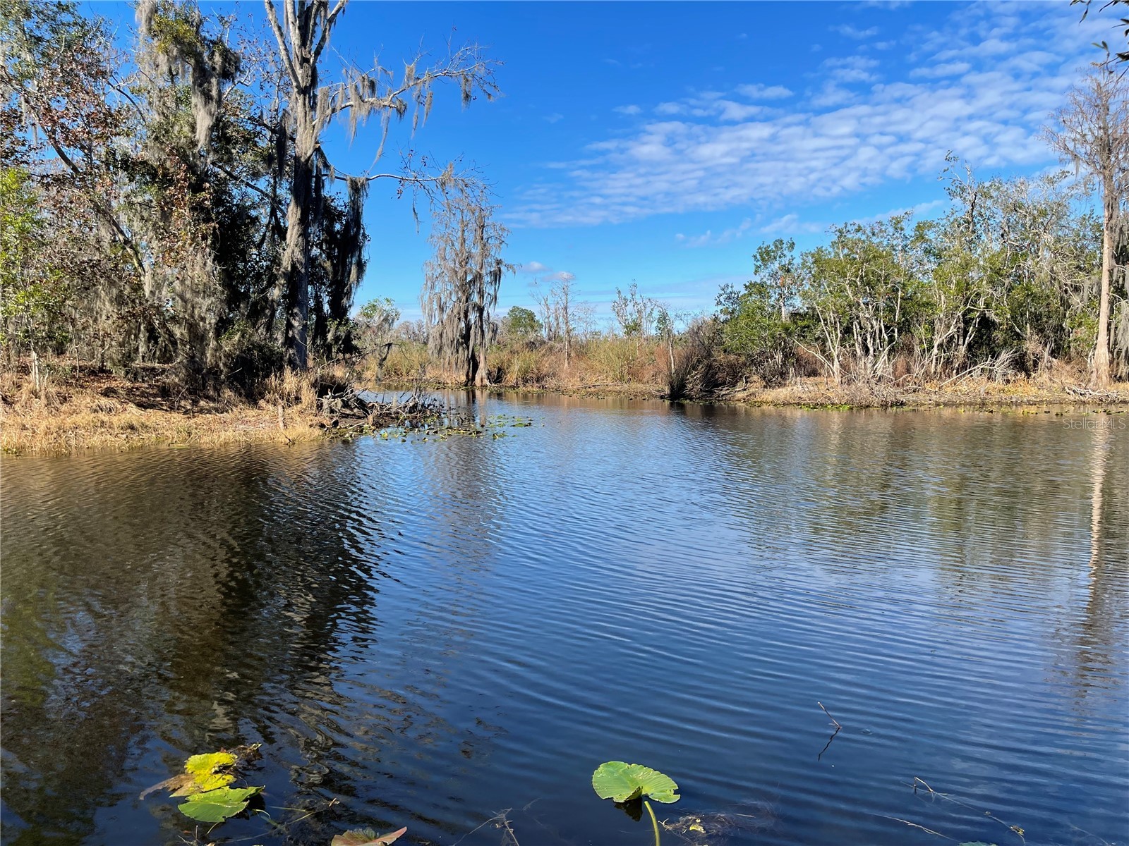 24510 Ne State Rd 26 Melrose FL 32666 - LAKE SANTA FE GC536541 image14