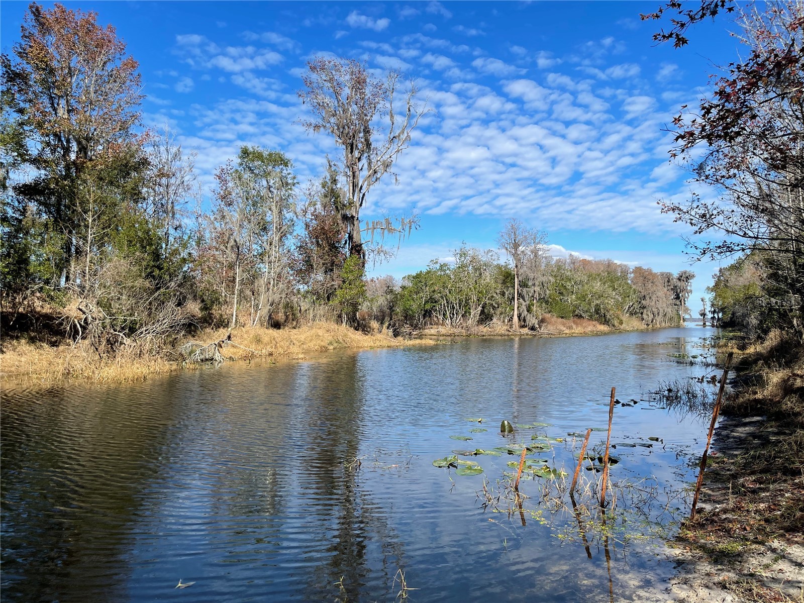 24510 Ne State Rd 26 Melrose FL 32666 - LAKE SANTA FE GC536541 image15