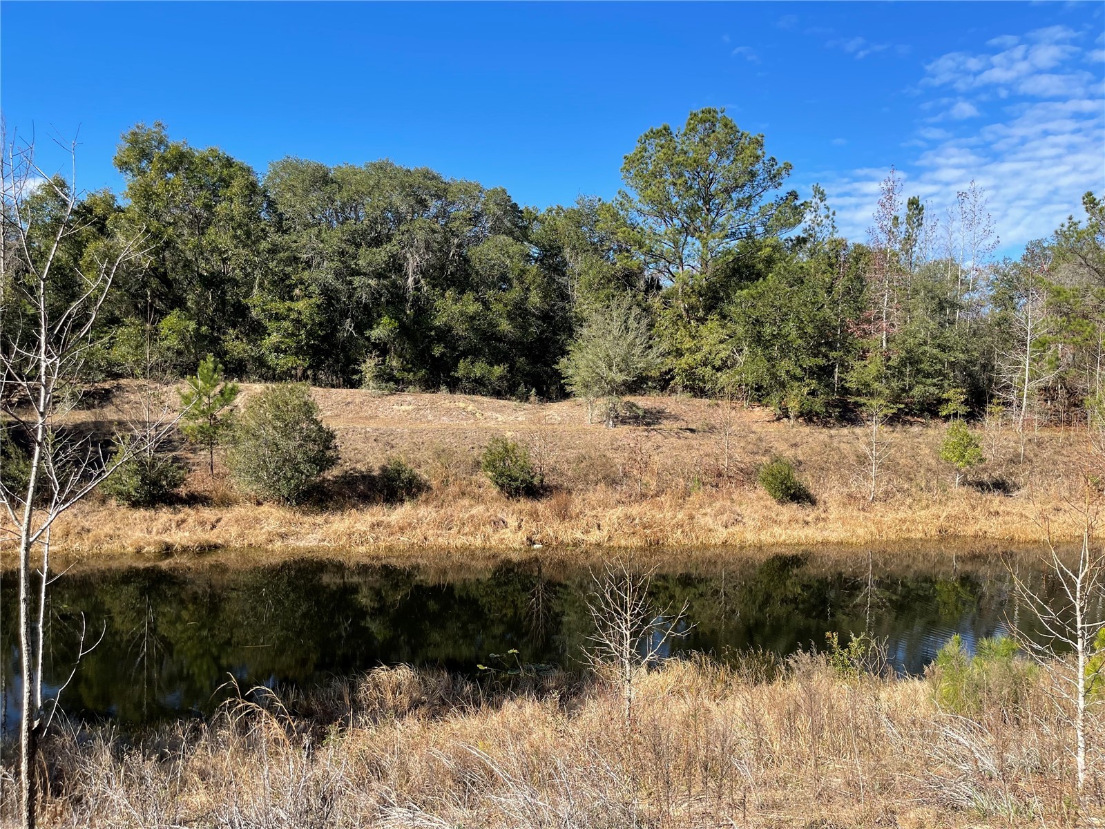 24510 Ne State Rd 26 Melrose FL 32666 - LAKE SANTA FE GC536541 image16
