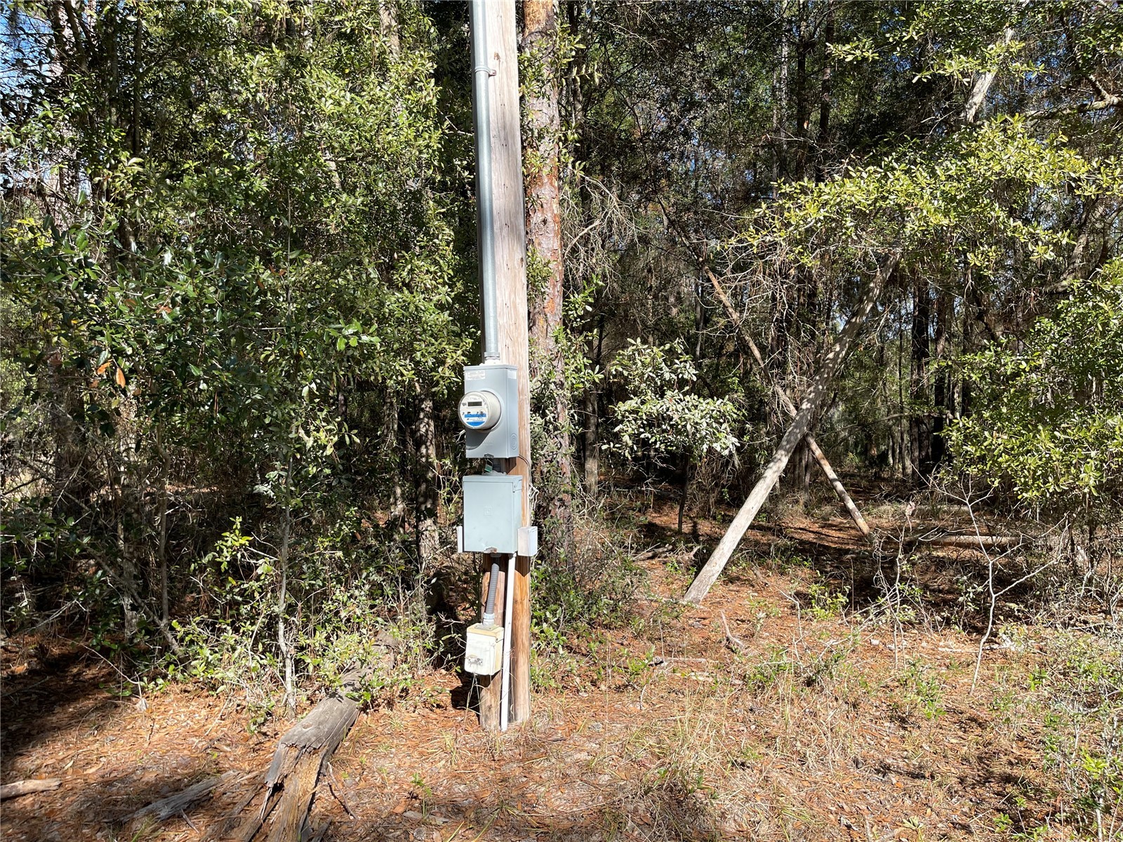 24510 Ne State Rd 26 Melrose FL 32666 - LAKE SANTA FE GC536541 image17