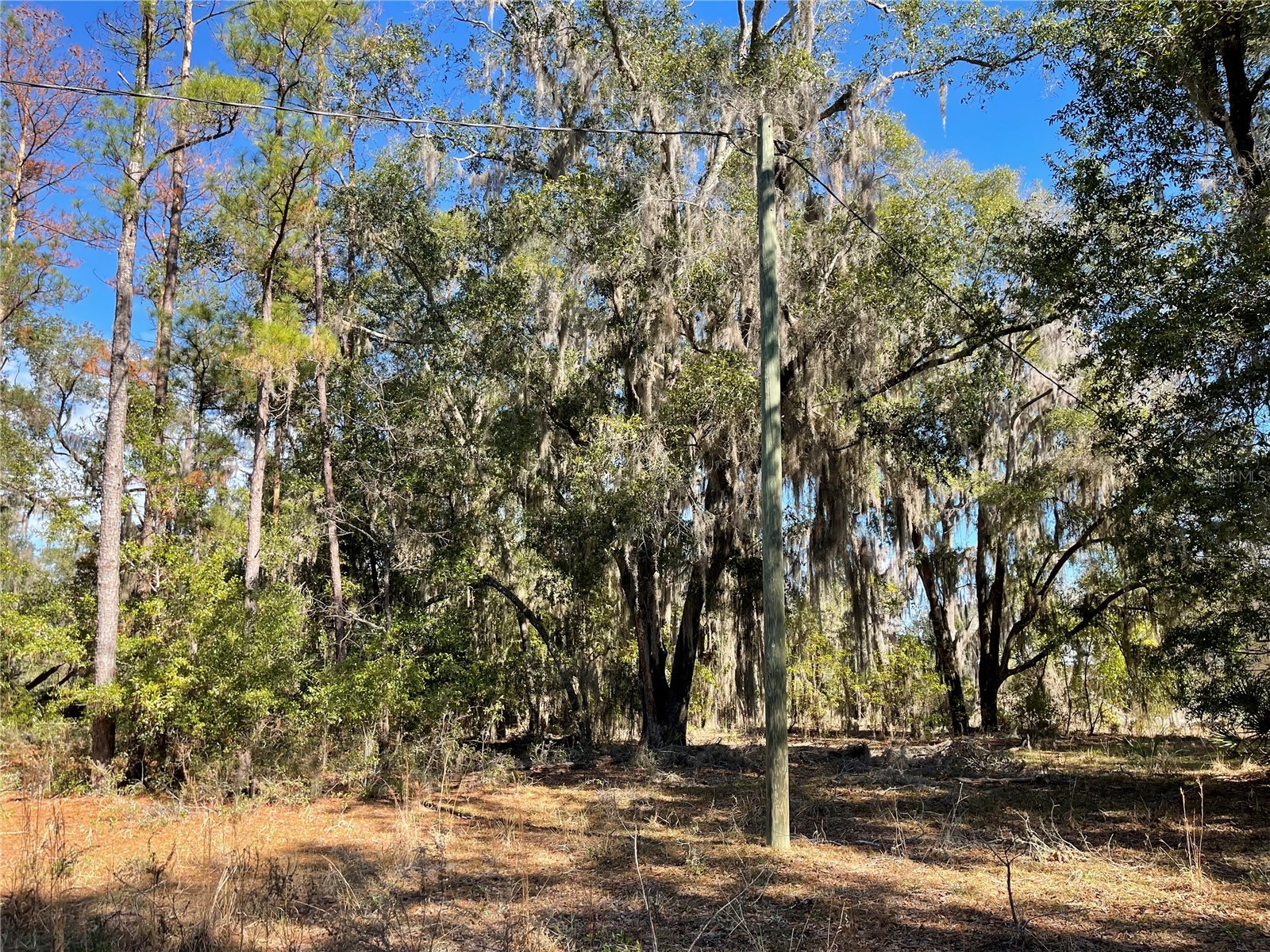 24510 Ne State Rd 26 Melrose FL 32666 - LAKE SANTA FE GC536541 image18