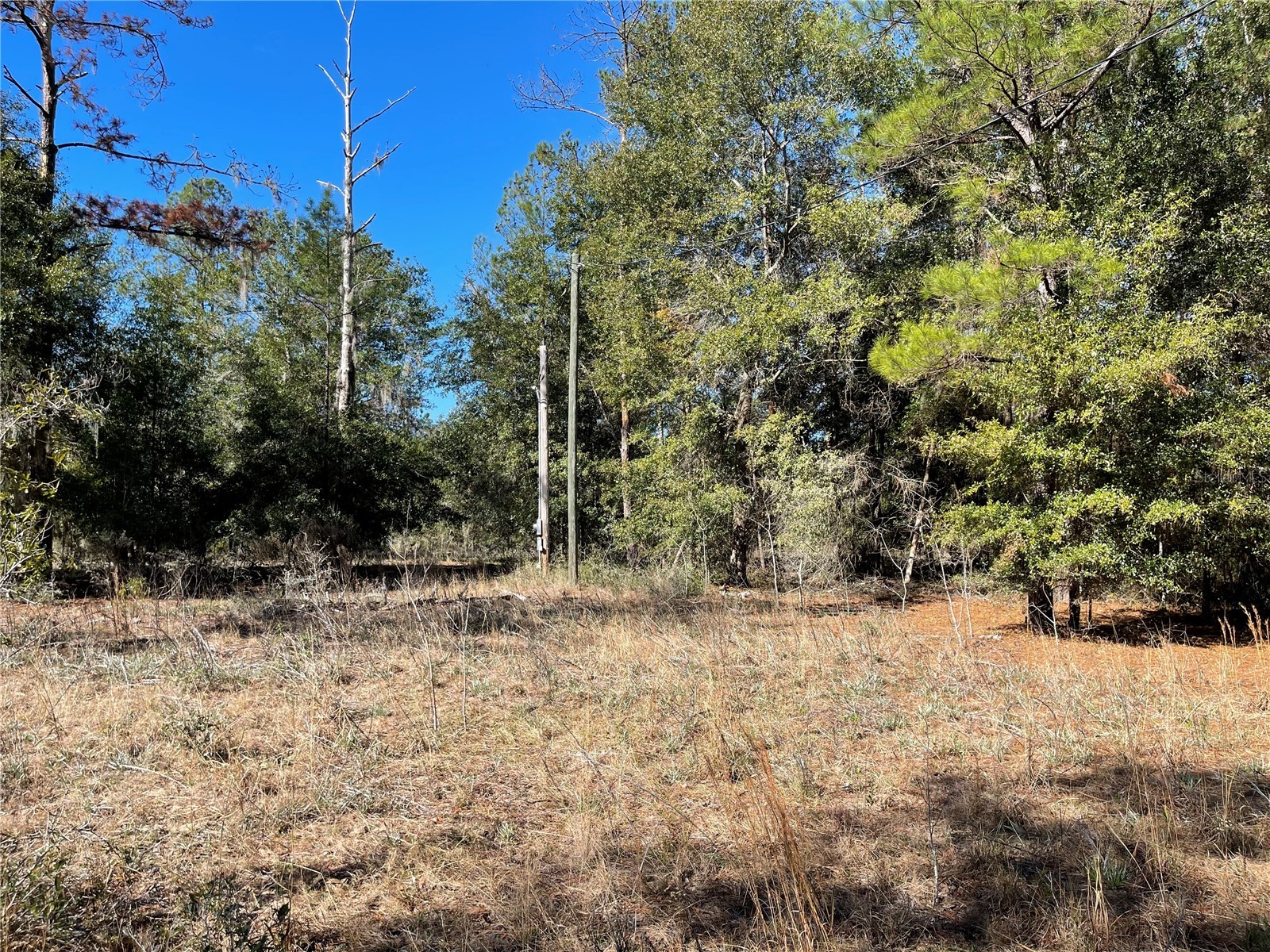 24510 Ne State Rd 26 Melrose FL 32666 - LAKE SANTA FE GC536541 image19