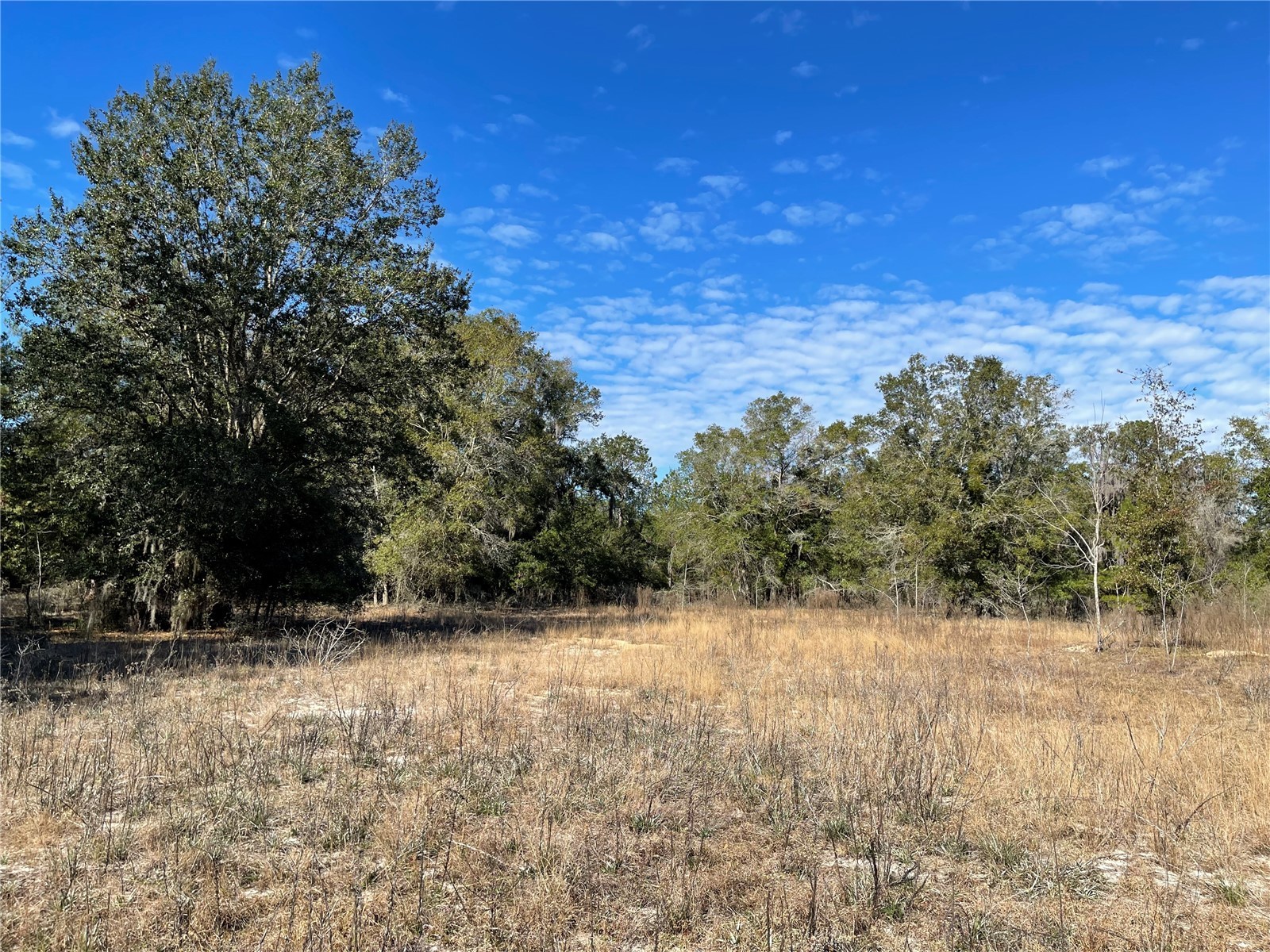 24510 Ne State Rd 26 Melrose FL 32666 - LAKE SANTA FE GC536541 image20