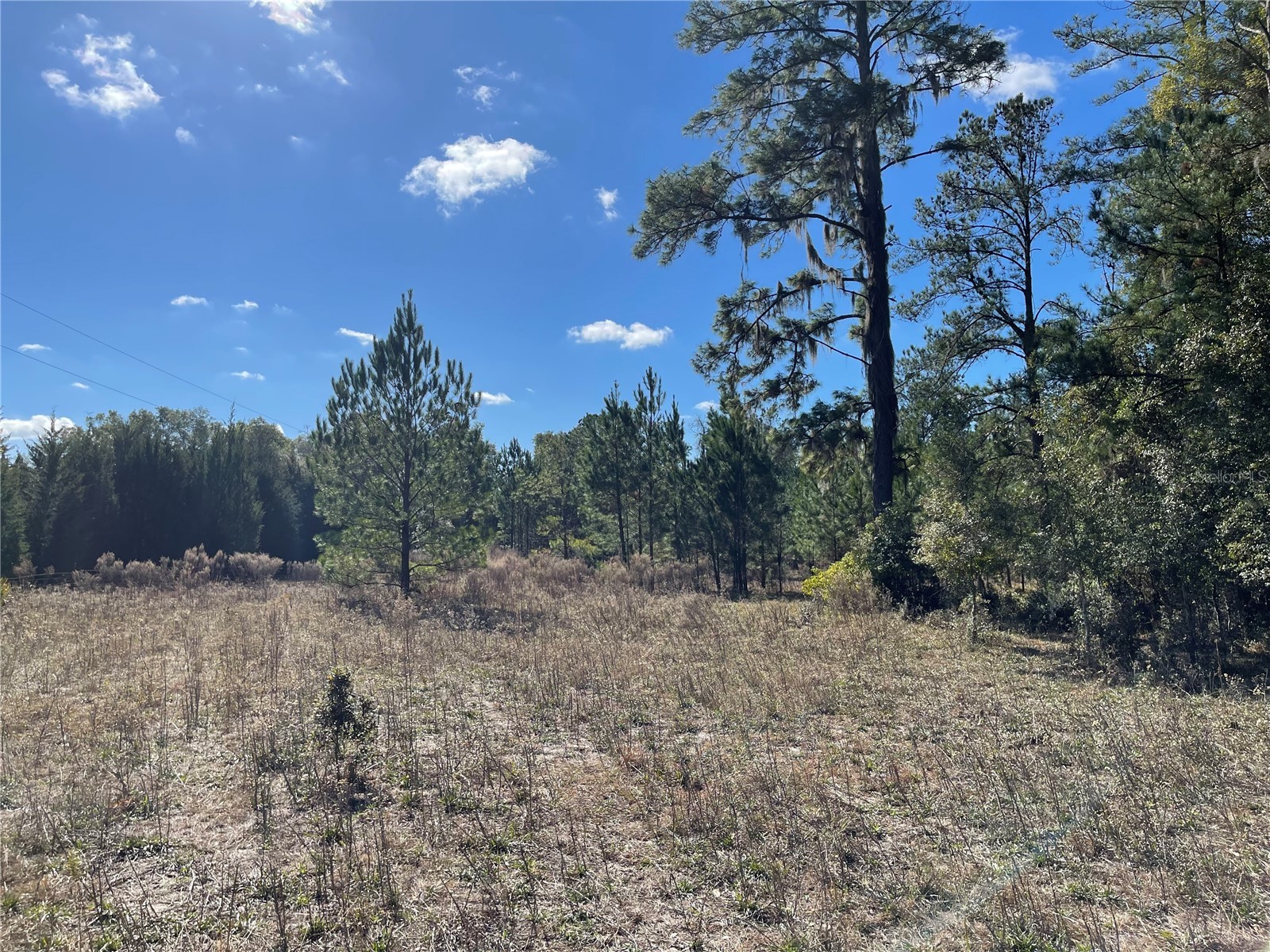 24510 Ne State Rd 26 Melrose FL 32666 - LAKE SANTA FE GC536541 image21