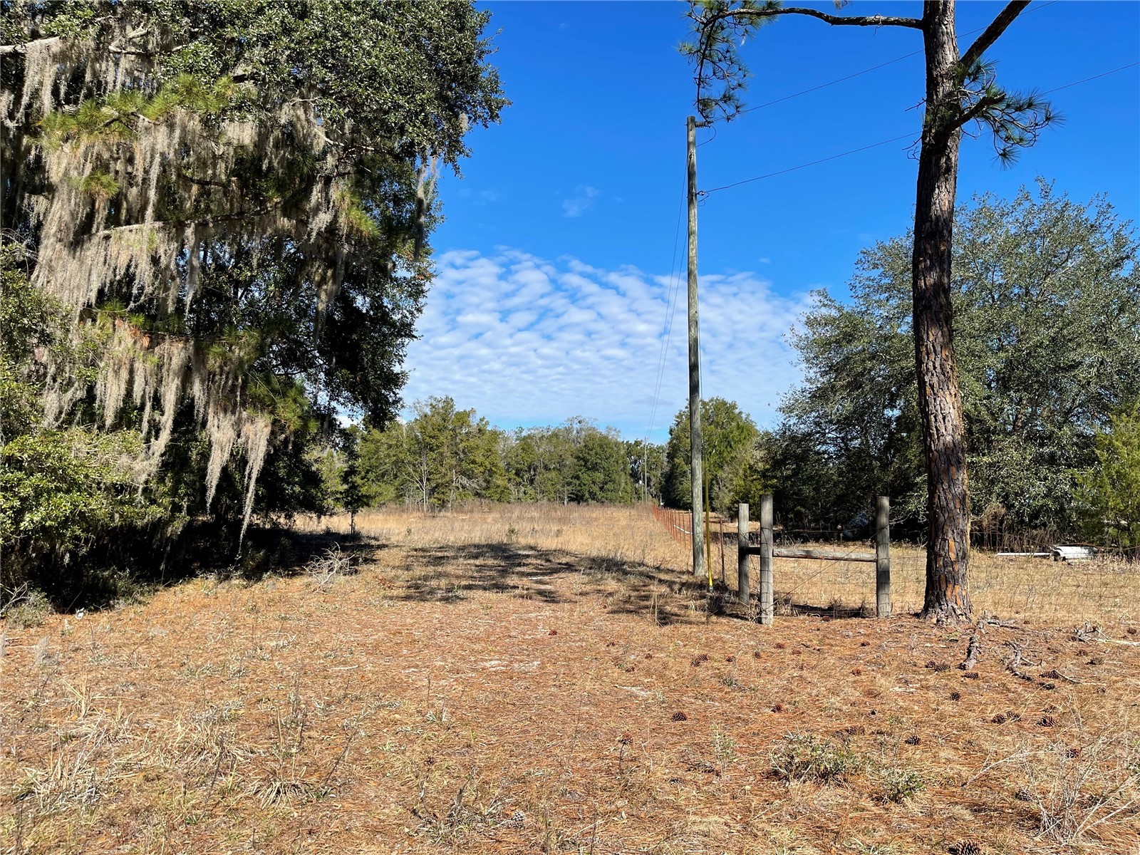 24510 Ne State Rd 26 Melrose FL 32666 - LAKE SANTA FE GC536541 image22