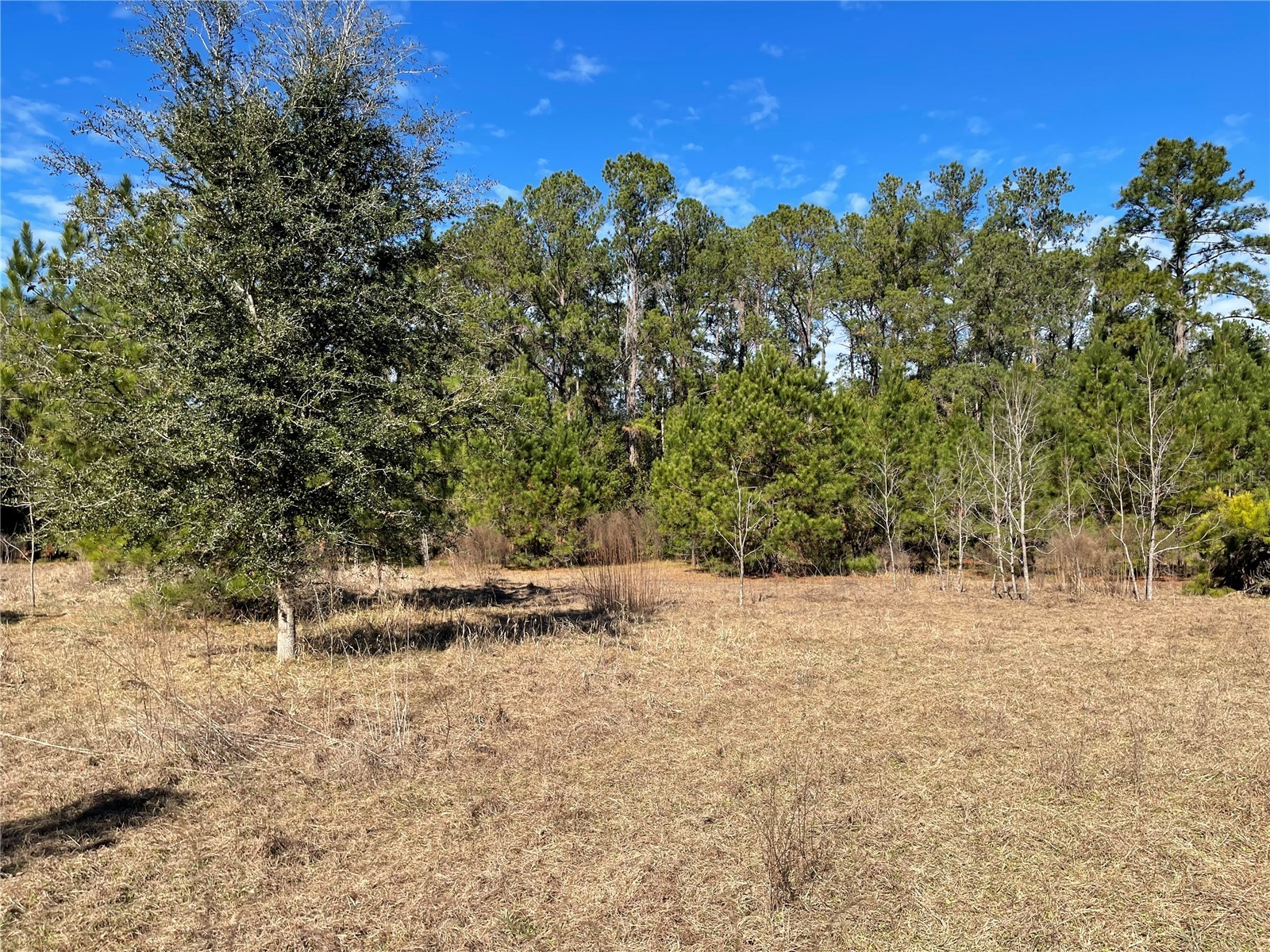 24510 Ne State Rd 26 Melrose FL 32666 - LAKE SANTA FE GC536541 image23