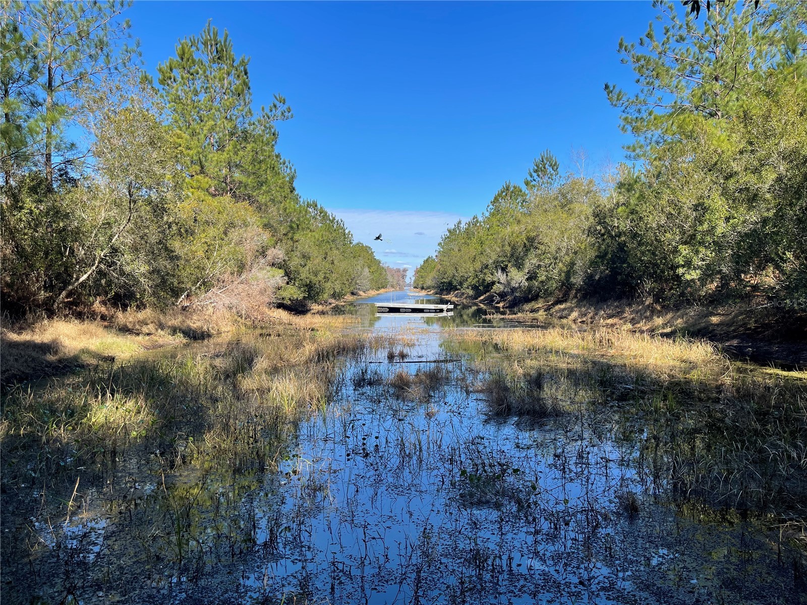 24510 Ne State Rd 26 Melrose FL 32666 - LAKE SANTA FE GC536541 image26