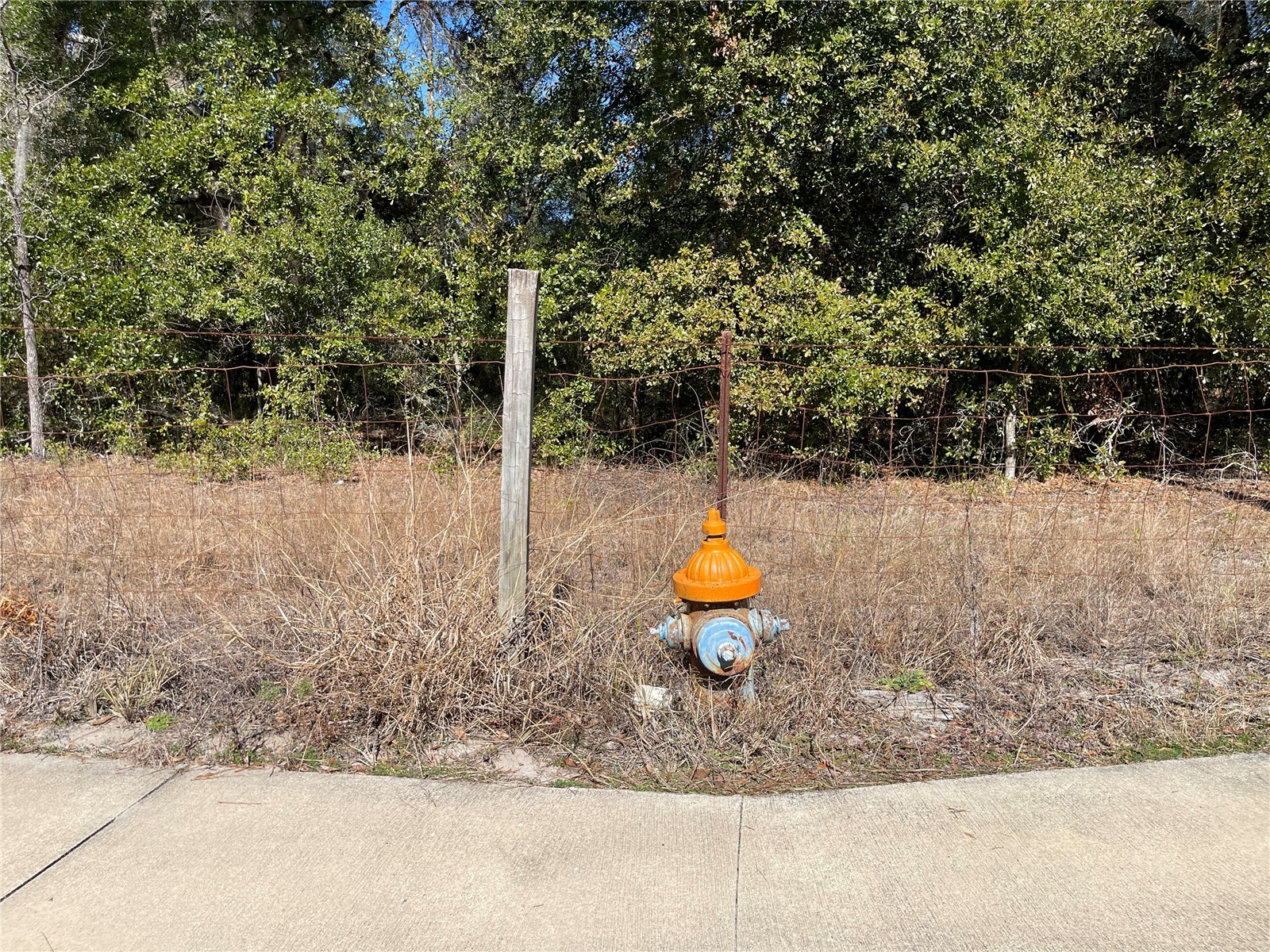 24510 Ne State Rd 26 Melrose FL 32666 - LAKE SANTA FE GC536541 image27