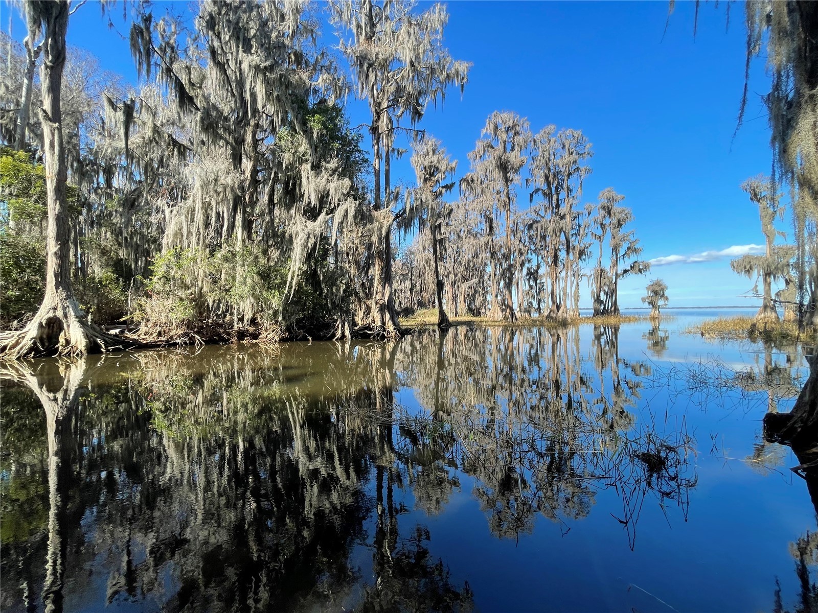 24510 Ne State Rd 26 Melrose FL 32666 - LAKE SANTA FE GC536541 image28