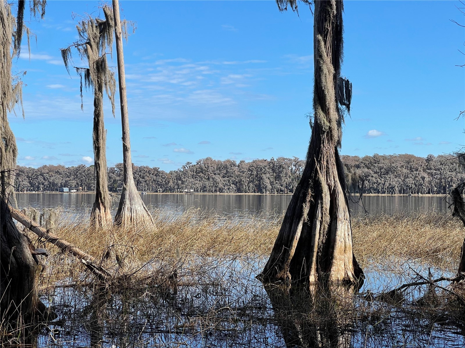 24510 Ne State Rd 26 Melrose FL 32666 - LAKE SANTA FE GC536541 image4