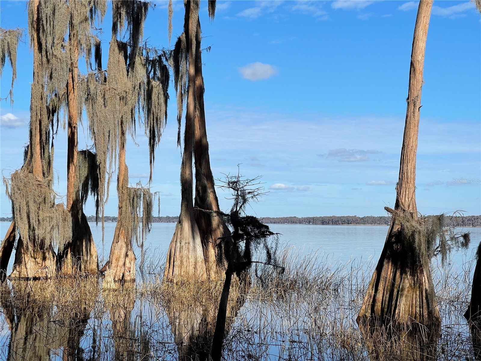 24510 Ne State Rd 26 Melrose FL 32666 - LAKE SANTA FE GC536541 image5