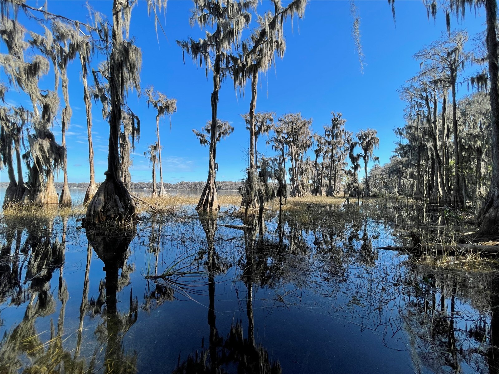 24510 Ne State Rd 26 Melrose FL 32666 - LAKE SANTA FE GC536541 image7