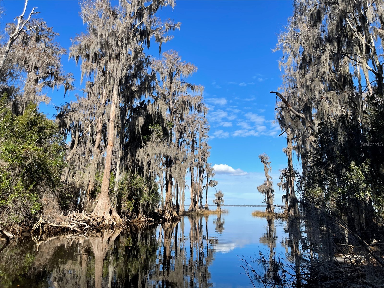 24510 Ne State Rd 26 Melrose FL 32666 - LAKE SANTA FE GC536541 image8