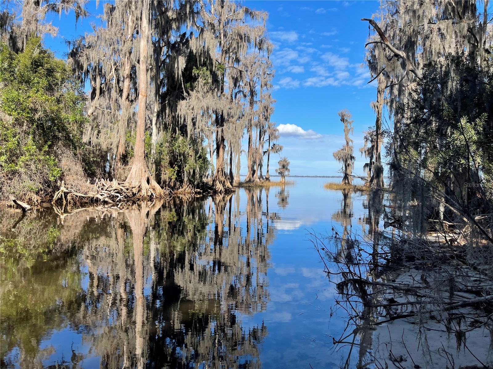 24510 Ne State Rd 26 Melrose FL 32666 - LAKE SANTA FE GC536541 image9