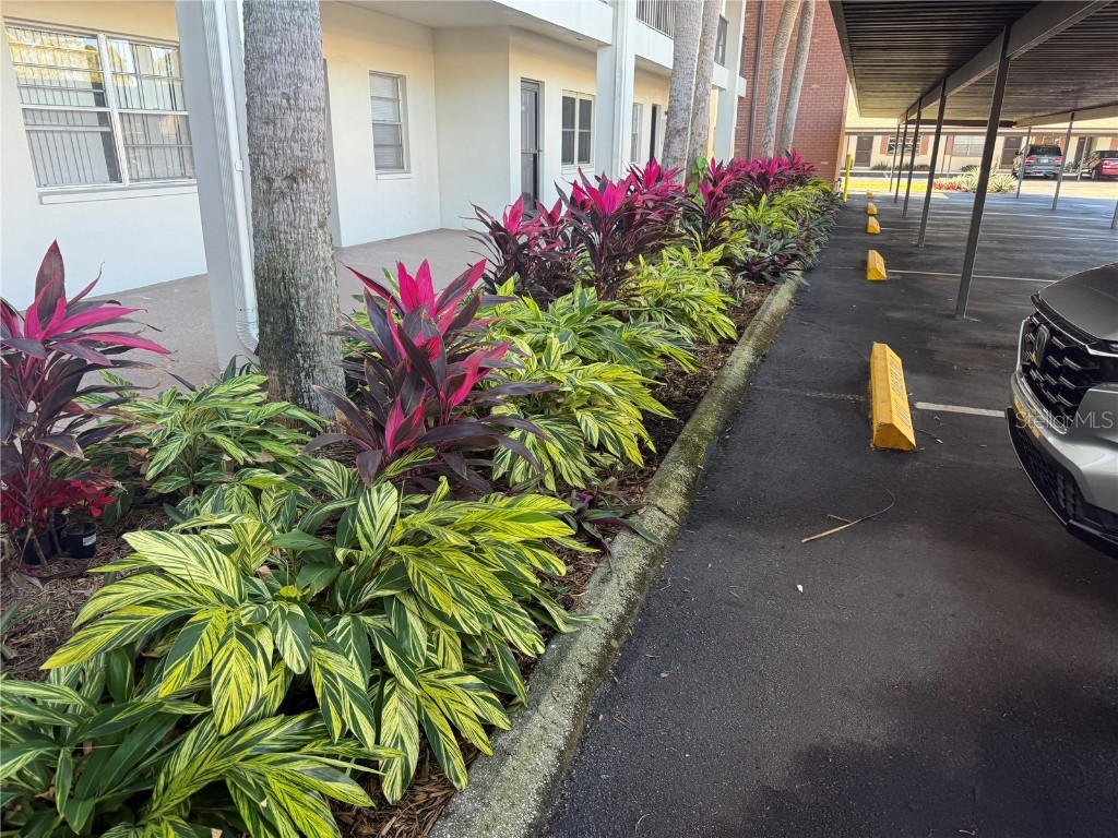 2452 Enterprise Road #29 Clearwater FL 33763 G5106233 image21