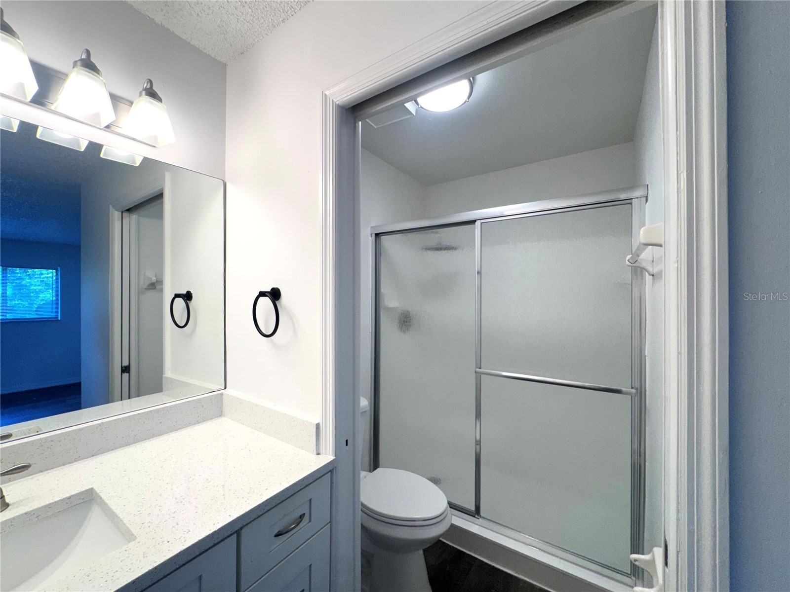 2452 Oak Park Way Orlando FL 32822 O6408456 image15