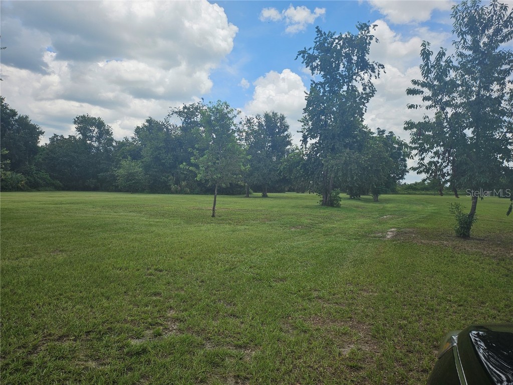 2452 Welcome Road Lithia FL 33547 TB8391917 image4