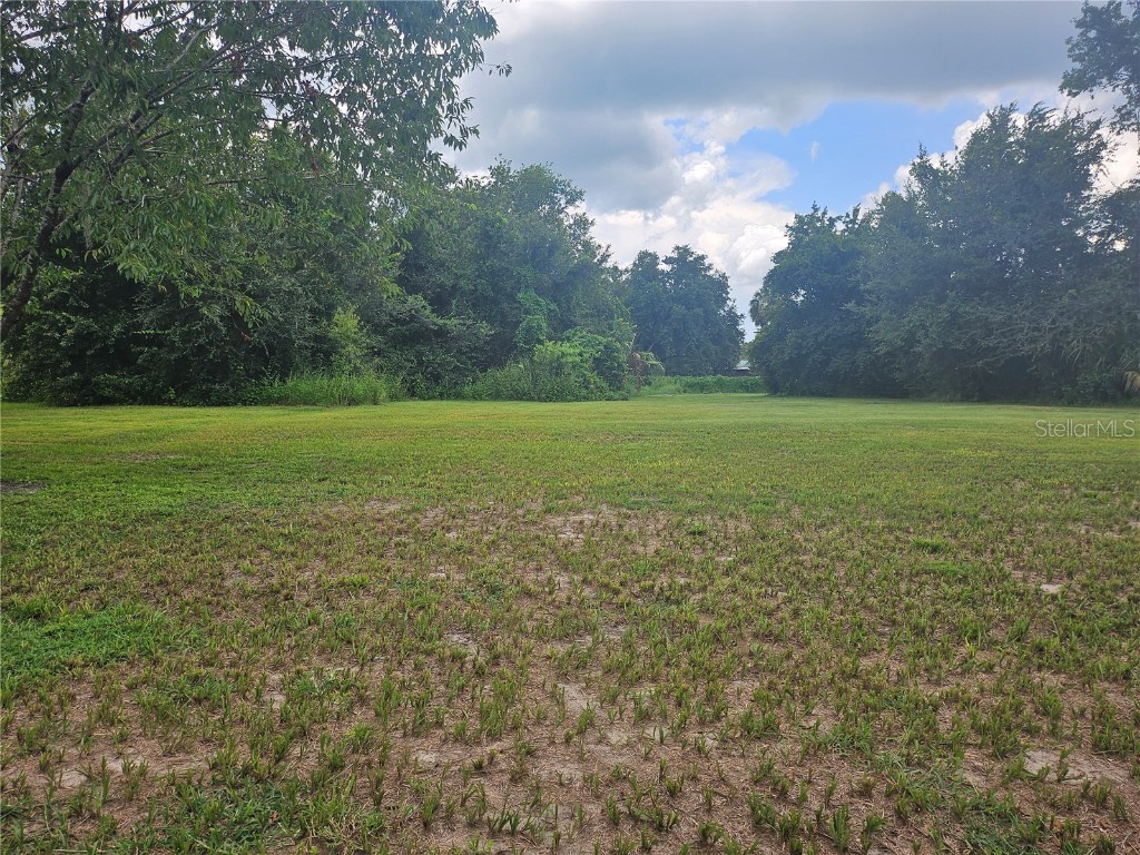 2452 Welcome Road Lithia FL 33547 TB8391917 image5