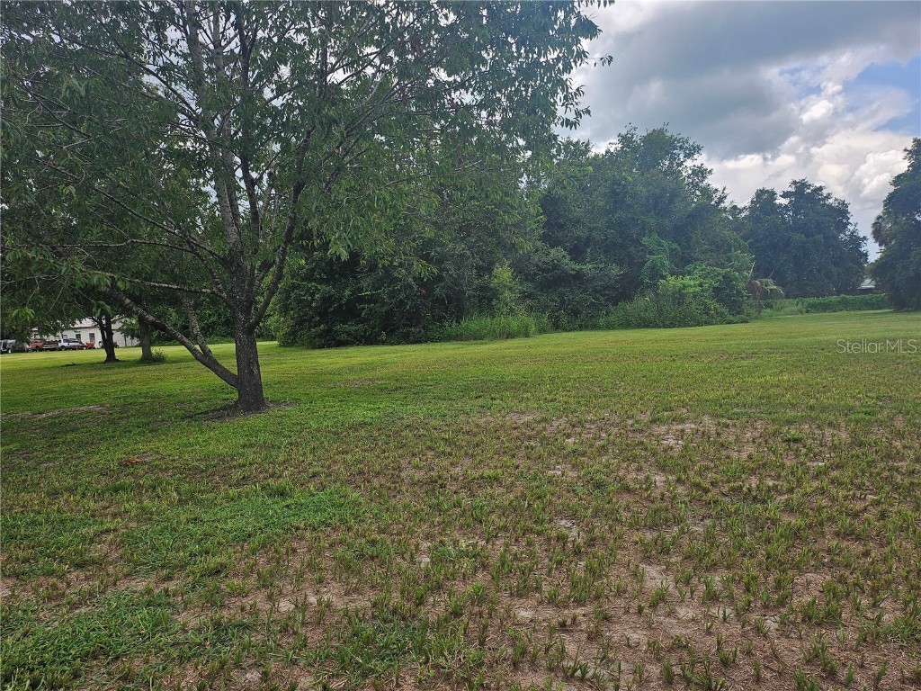 2452 Welcome Road Lithia FL 33547 TB8391917 image6