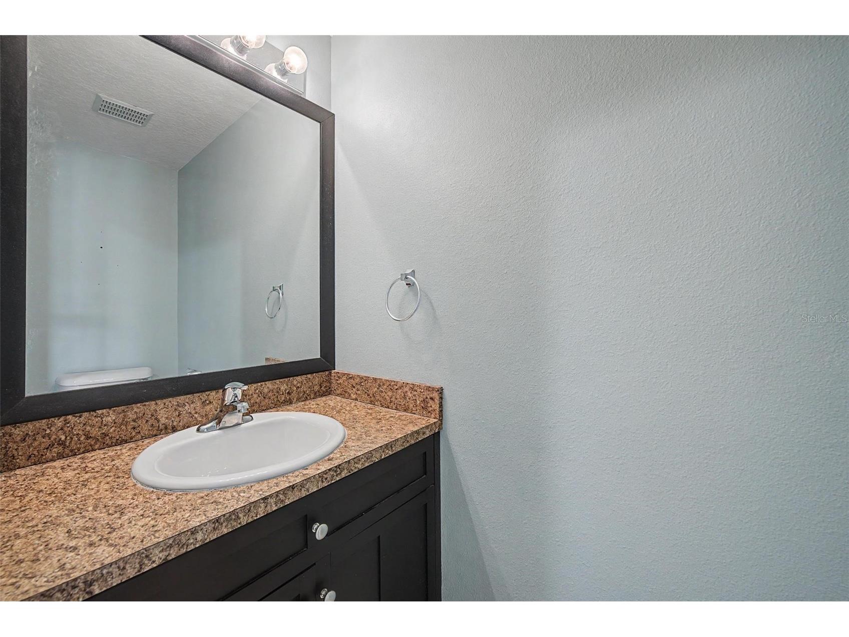 24520 Summer Wind Court Lutz FL 33559 TB8520911 image25