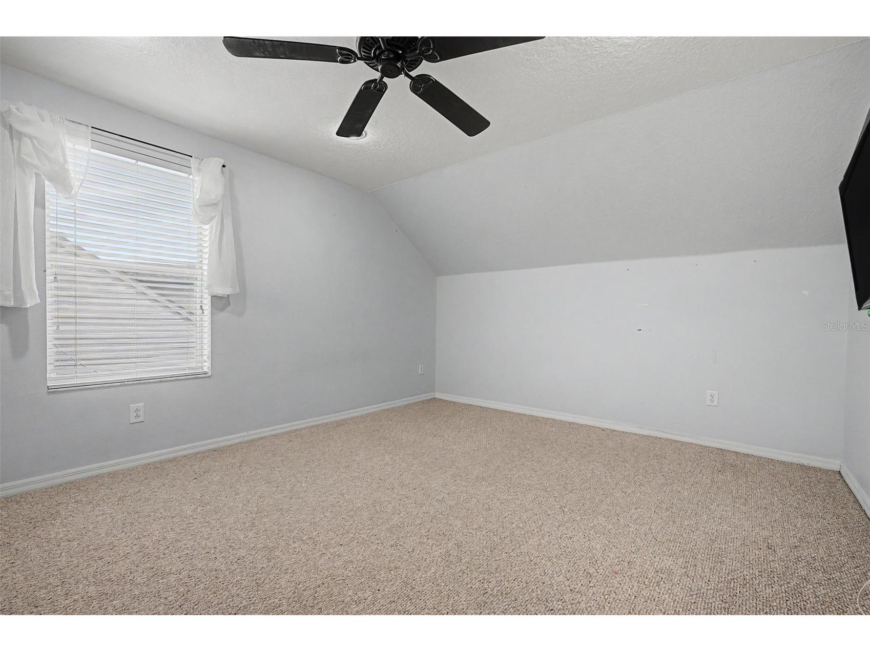 24520 Summer Wind Court Lutz FL 33559 TB8520911 image30