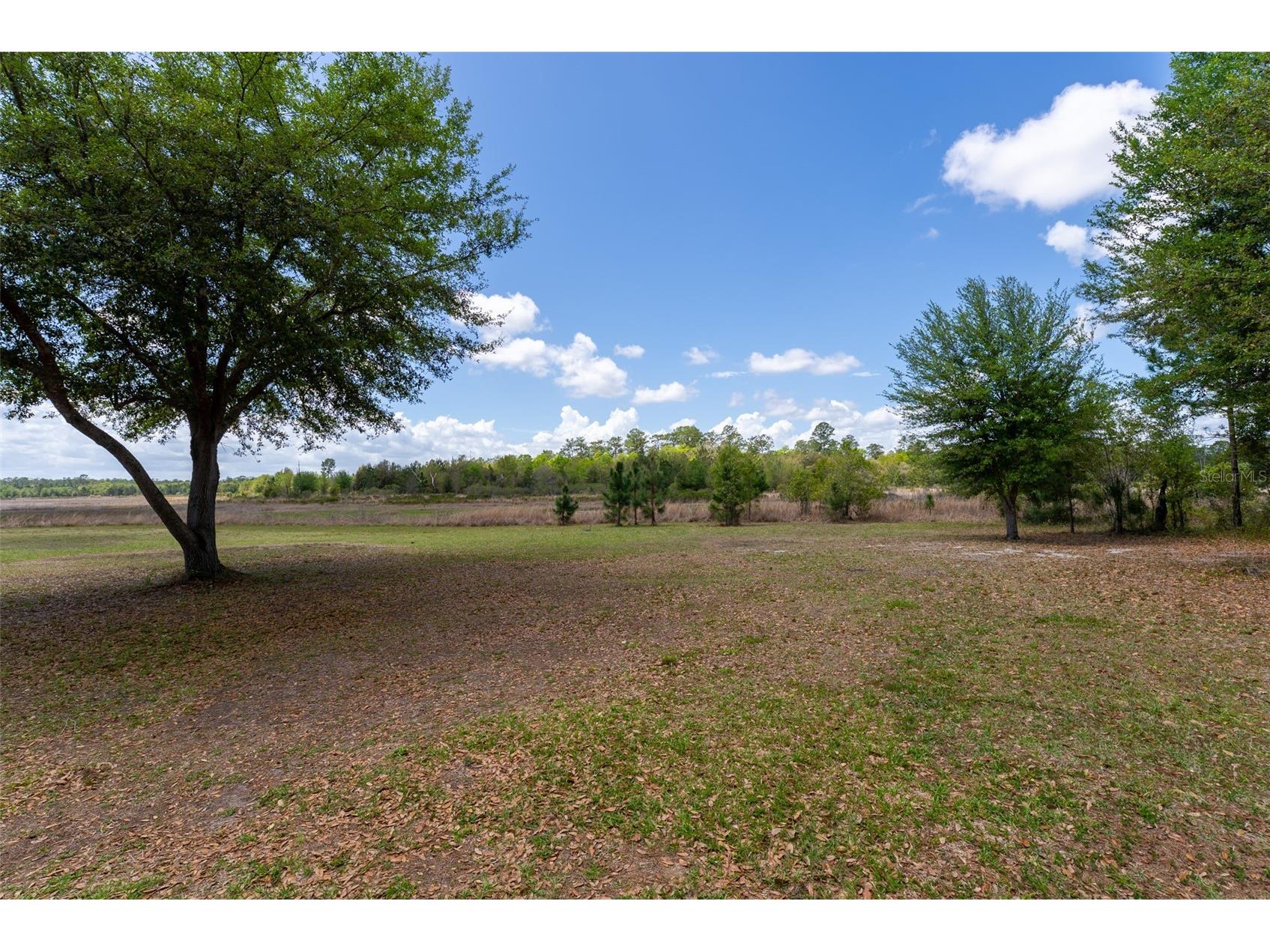 24525 NE 189th Street Fort Mc Coy FL 32134 OM722198 image46