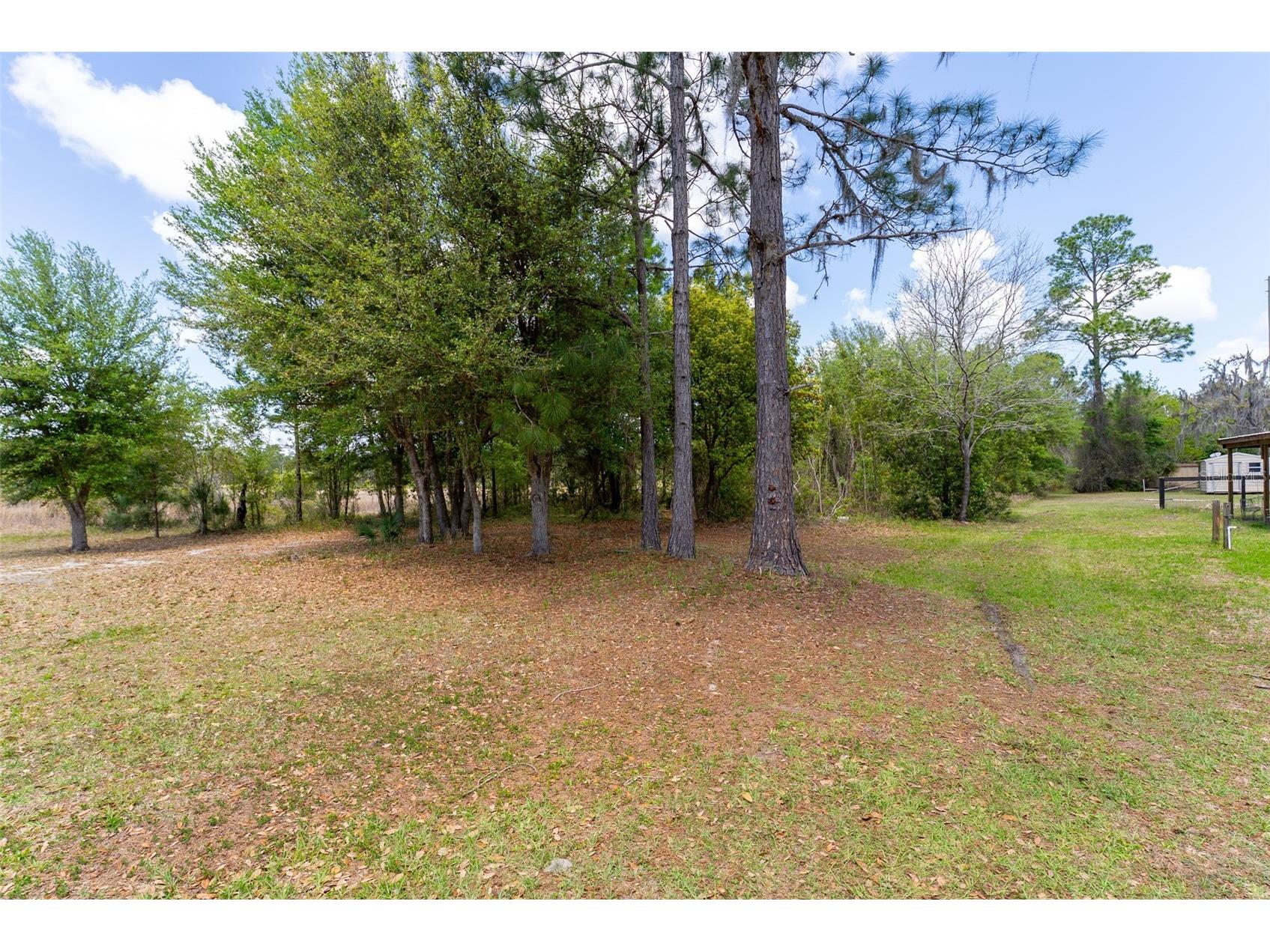 24525 NE 189th Street Fort Mc Coy FL 32134 OM722198 image47