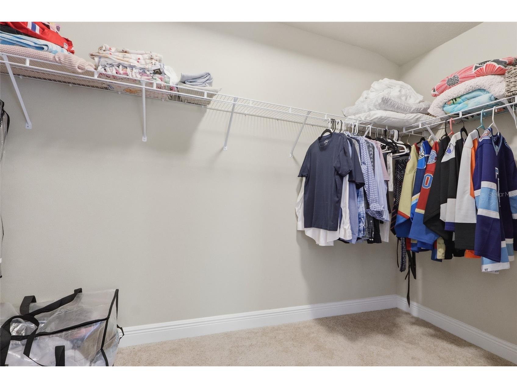 2453 Addington Place Wesley Chapel FL 33543 TB8505838 image16