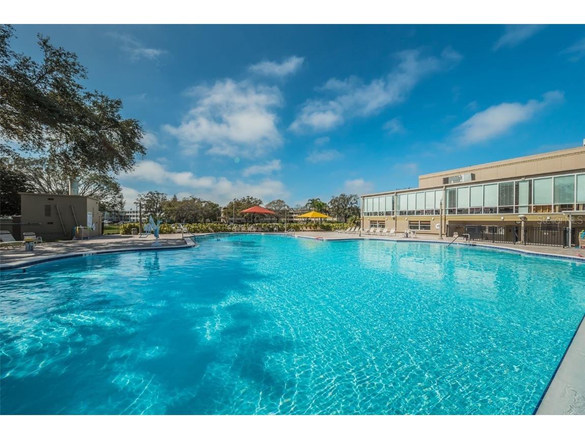 2453 Brazilia Drive #47 Clearwater FL 33763 - LAKE ARBOR TB8450104 image39