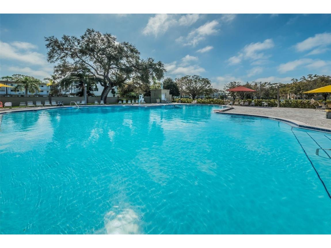 2453 Brazilia Drive #47 Clearwater FL 33763 - LAKE ARBOR TB8450104 image47