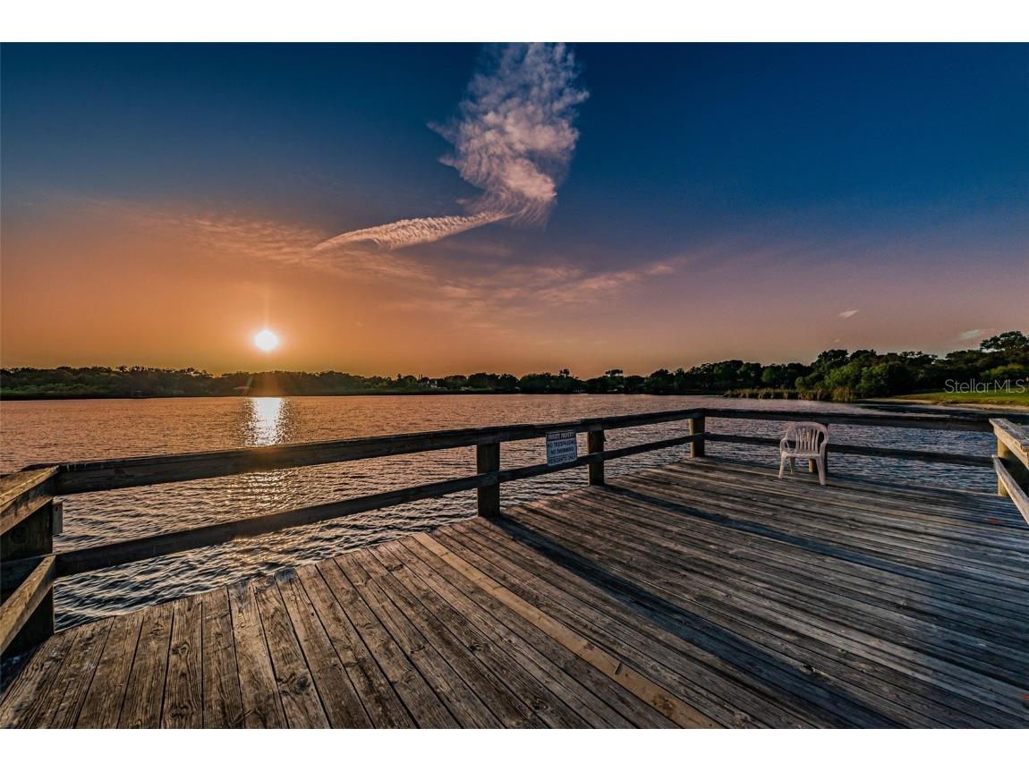 2453 Brazilia Drive #47 Clearwater FL 33763 - LAKE ARBOR TB8450104 image90