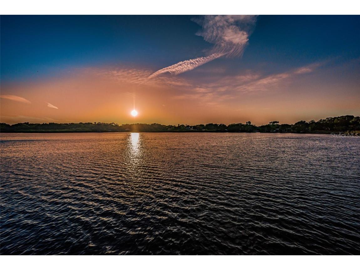 2453 Brazilia Drive #47 Clearwater FL 33763 - LAKE ARBOR TB8450104 image91