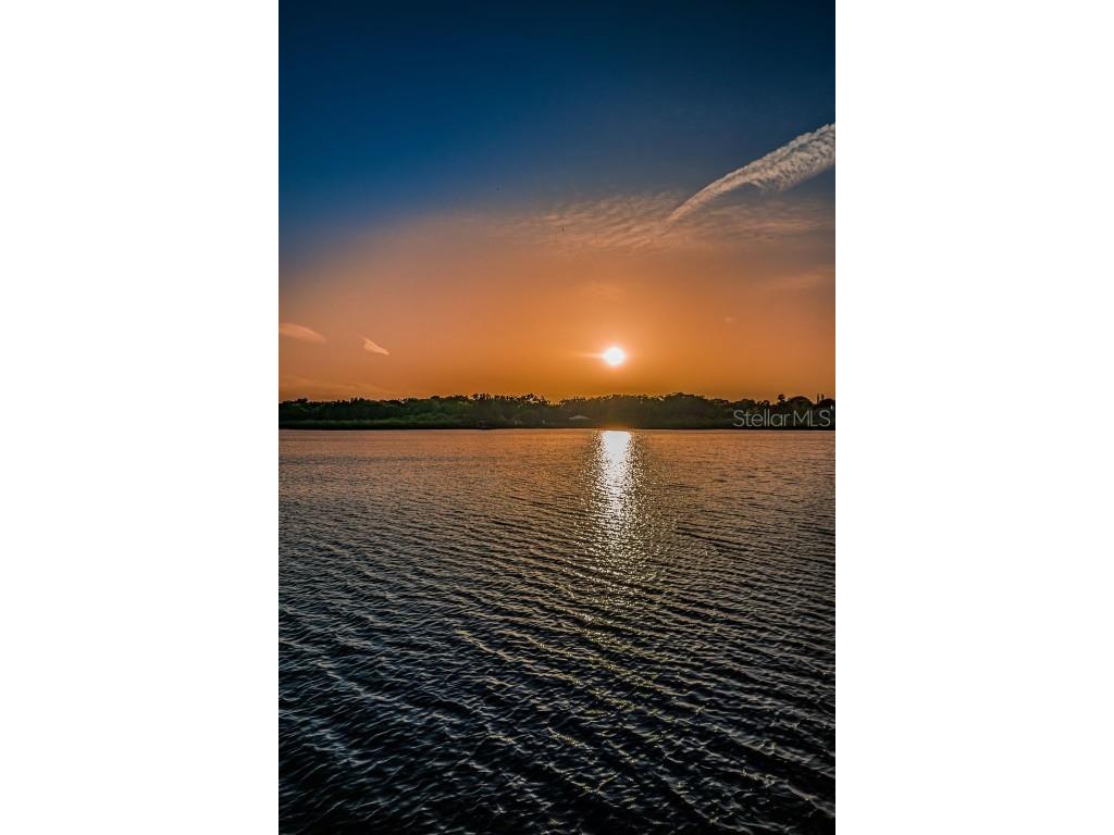 2453 Brazilia Drive #47 Clearwater FL 33763 - LAKE ARBOR TB8450104 image92