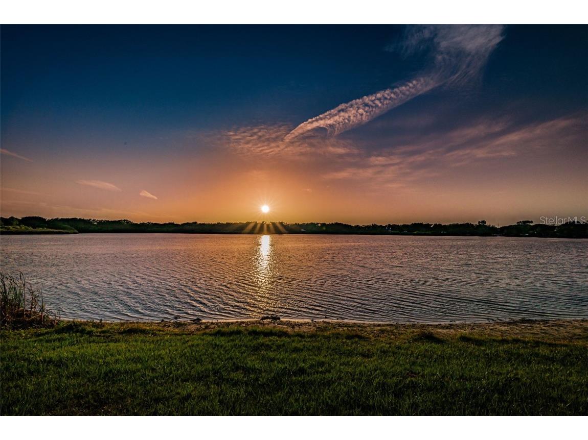 2453 Brazilia Drive #47 Clearwater FL 33763 - LAKE ARBOR TB8450104 image95