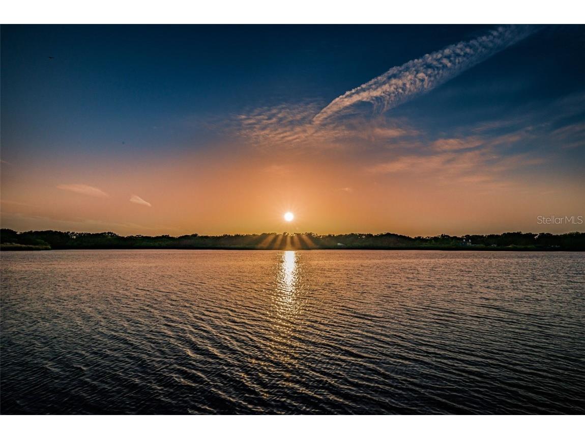 2453 Brazilia Drive #47 Clearwater FL 33763 - LAKE ARBOR TB8450104 image97