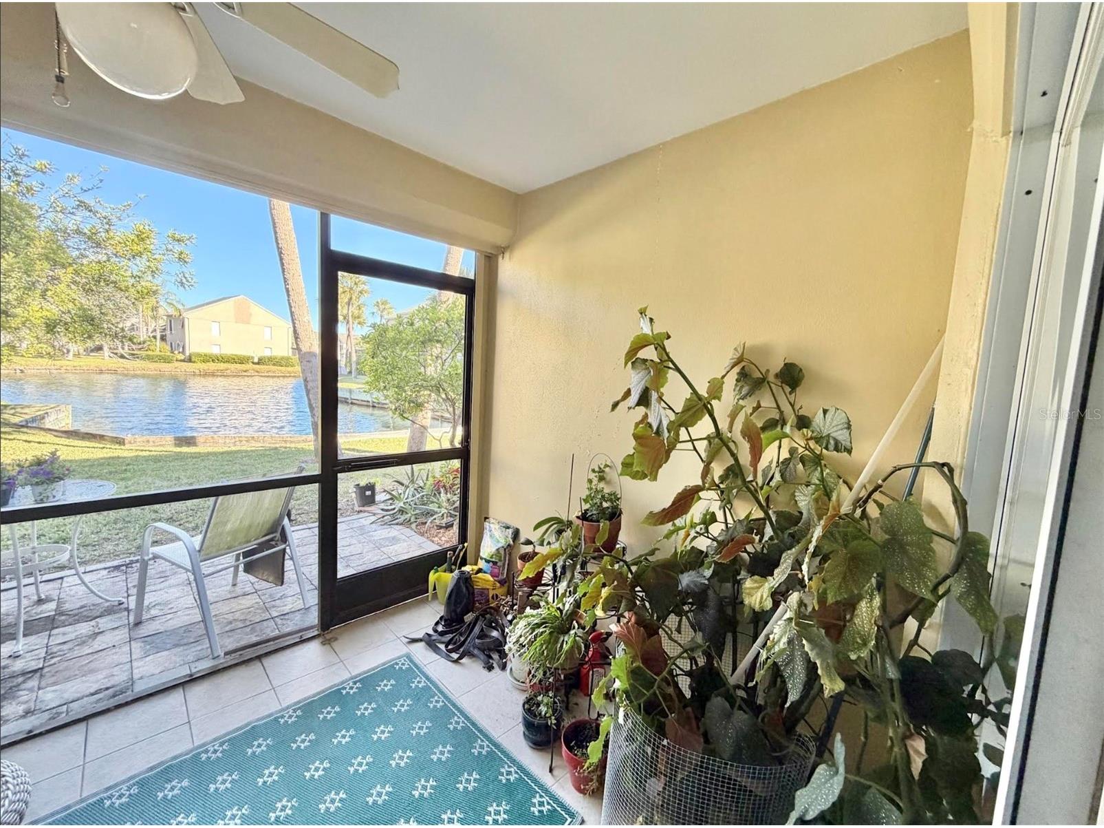 2453 Egret Boulevard #102 Clearwater FL 33762 TB8469281 image14