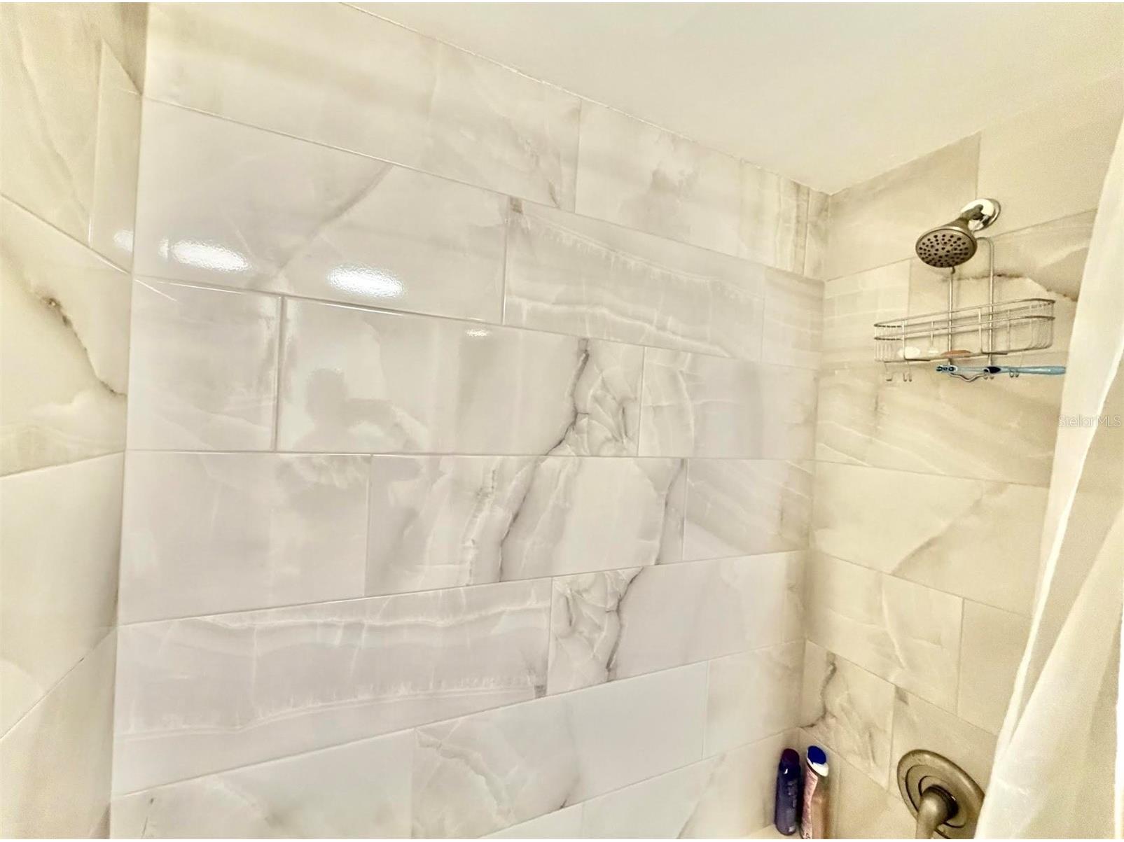 2453 Egret Boulevard #102 Clearwater FL 33762 TB8469281 image21