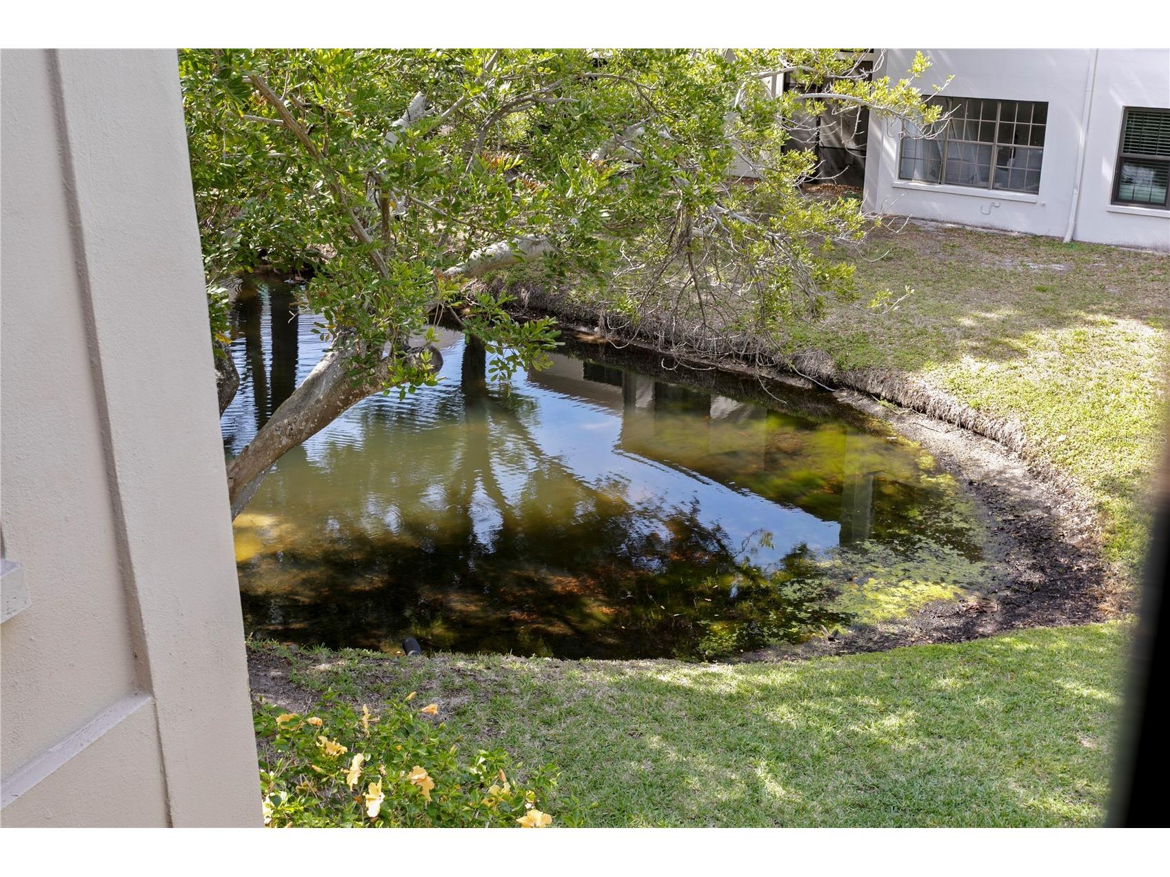 2453 Kingfisher Lane #G202 Clearwater FL 33762 TB8502725 image32