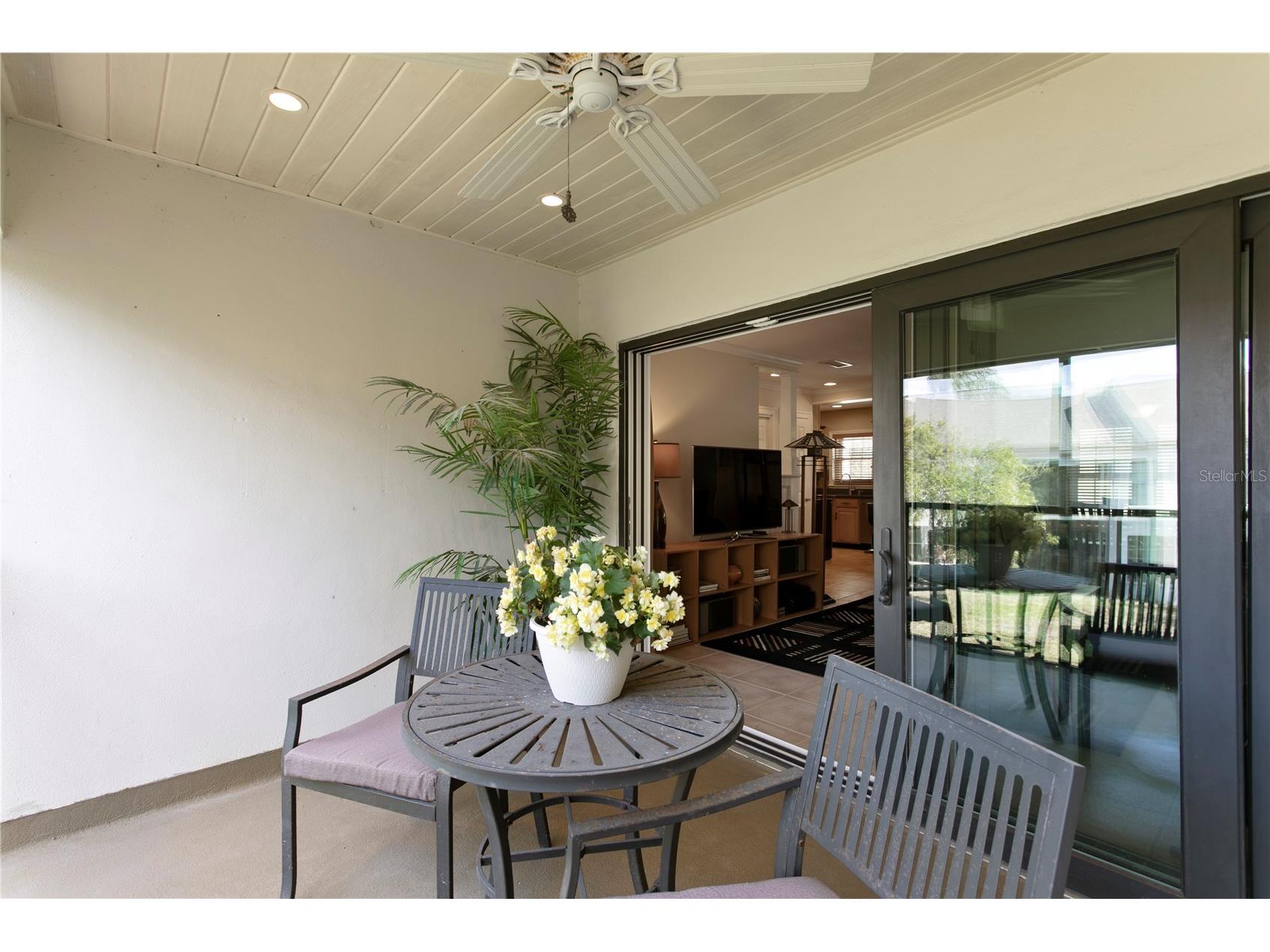 2453 Kingfisher Lane #G202 Clearwater FL 33762 TB8502725 image5