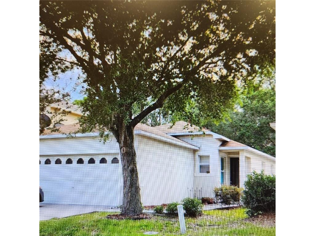 2453 Silvermoss Drive Wesley Chapel FL 33544 T3453491 image1