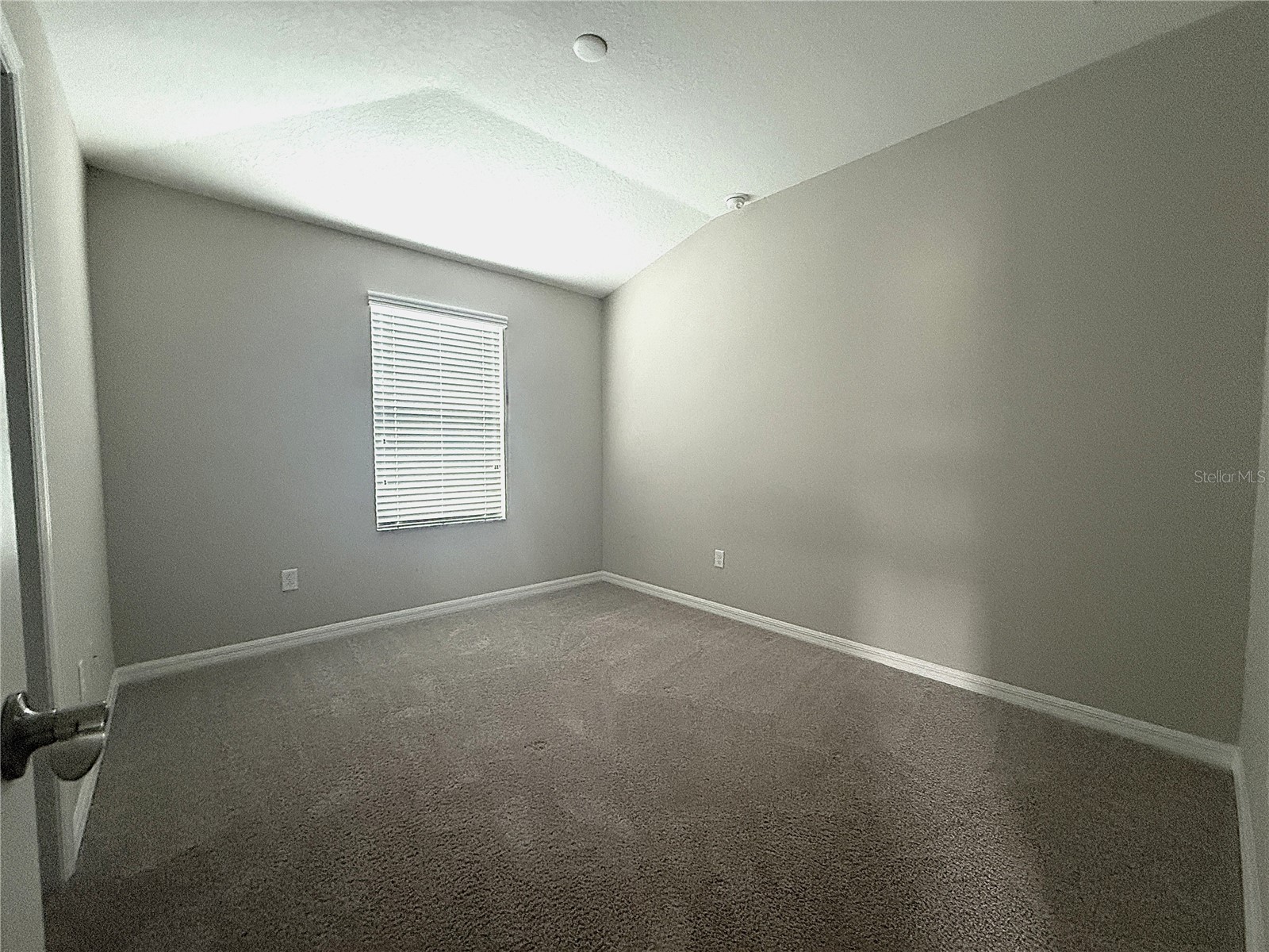 2453 Stapleford Place Wesley Chapel FL 33543 TB8491644 image14