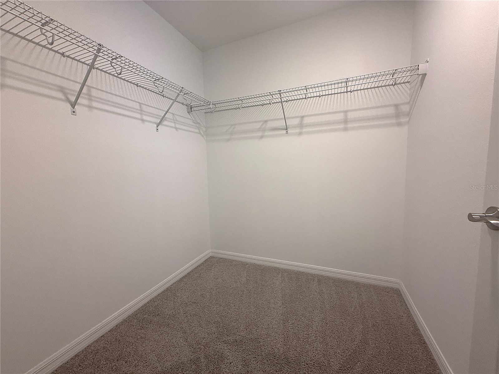 2453 Stapleford Place Wesley Chapel FL 33543 TB8491644 image16