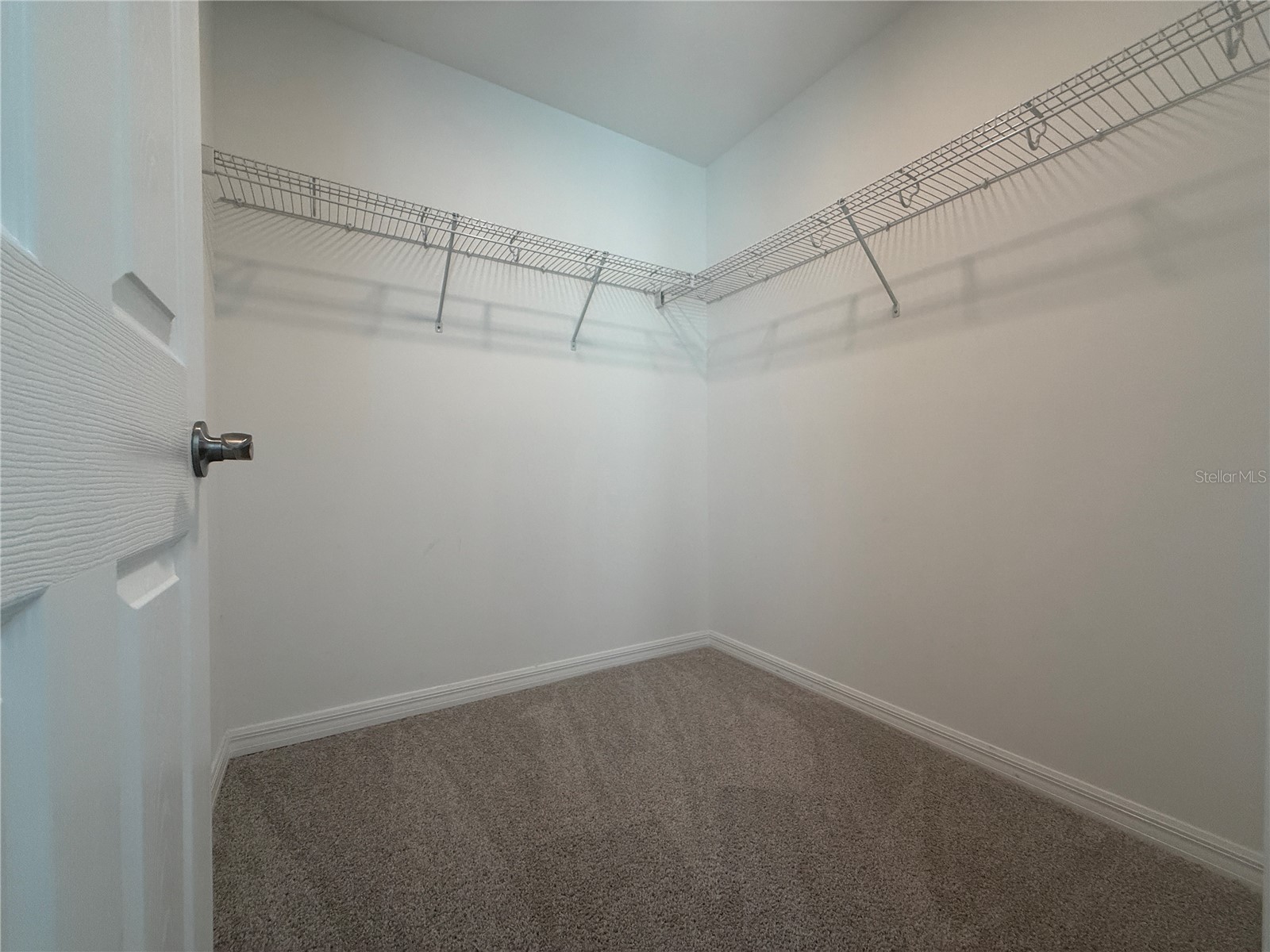 2453 Stapleford Place Wesley Chapel FL 33543 TB8491644 image20
