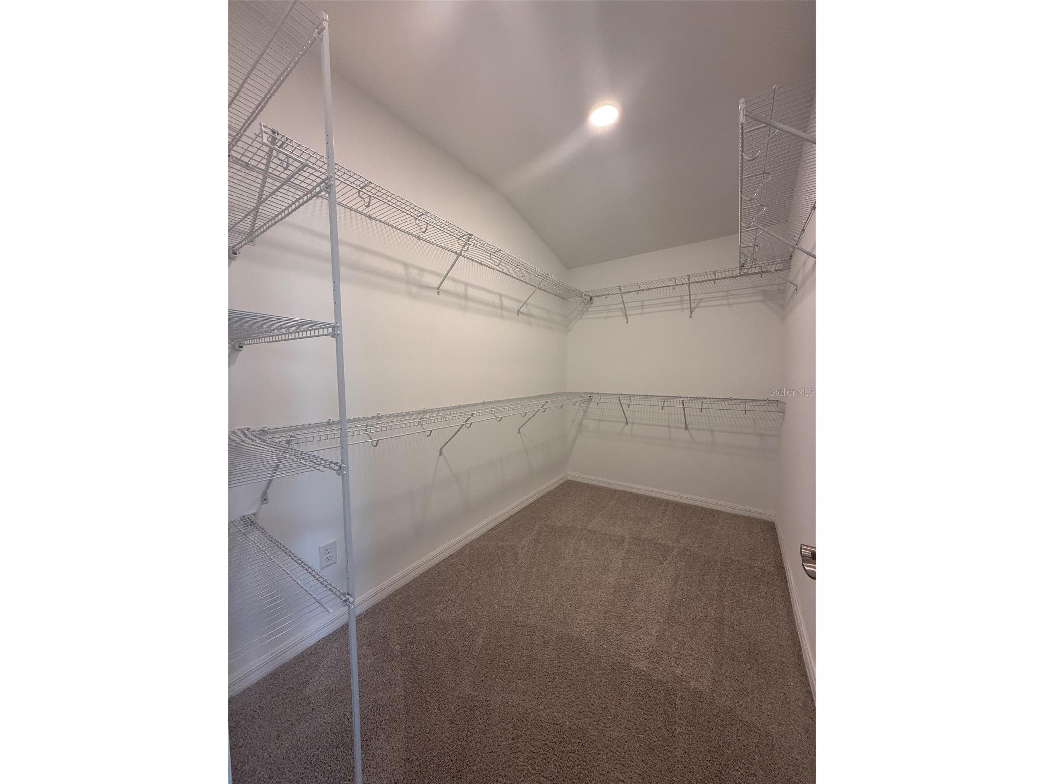 2453 Stapleford Place Wesley Chapel FL 33543 TB8491644 image23