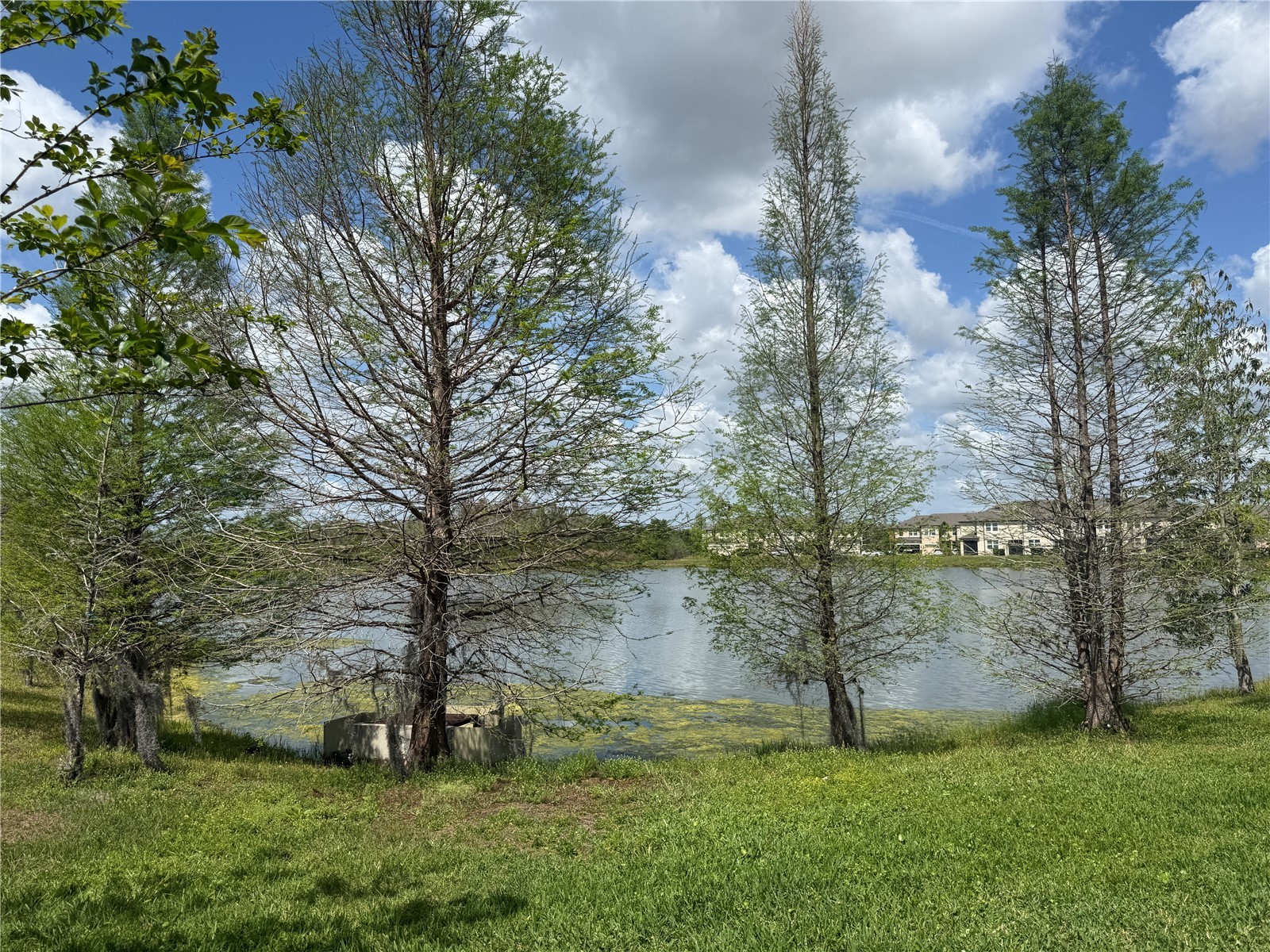 2453 Stapleford Place Wesley Chapel FL 33543 TB8491644 image30
