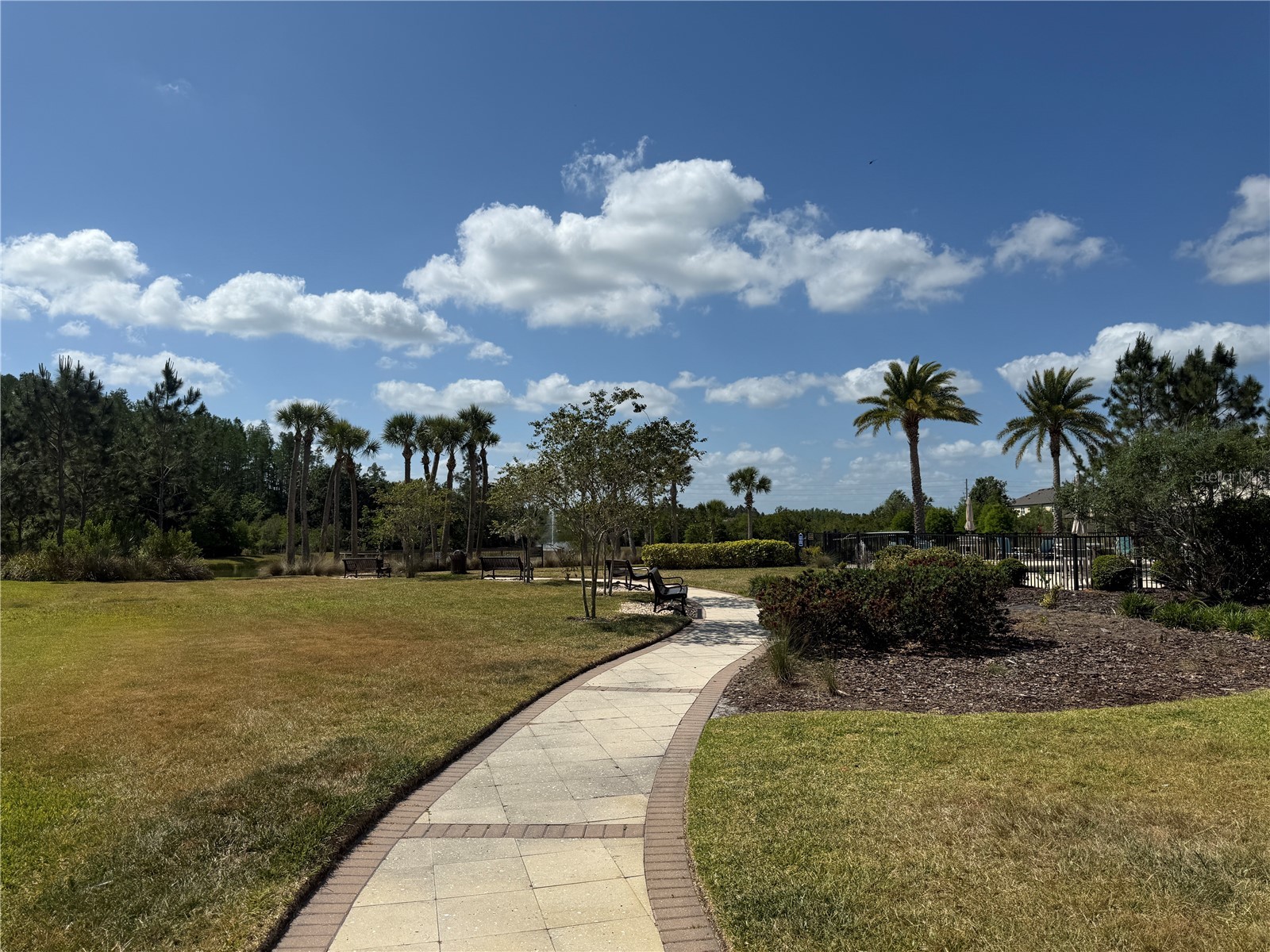 2453 Stapleford Place Wesley Chapel FL 33543 TB8491644 image33