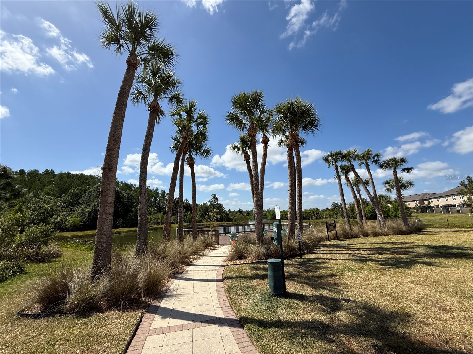 2453 Stapleford Place Wesley Chapel FL 33543 TB8491644 image35