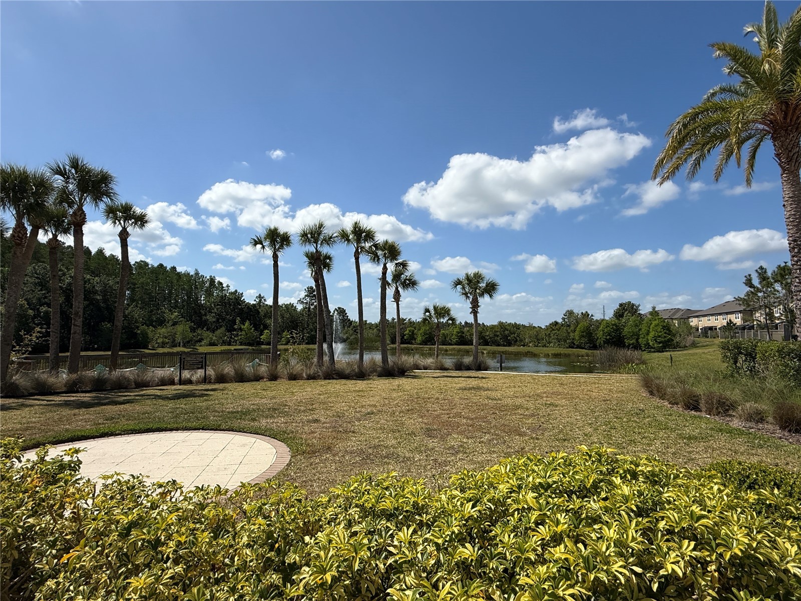 2453 Stapleford Place Wesley Chapel FL 33543 TB8491644 image37