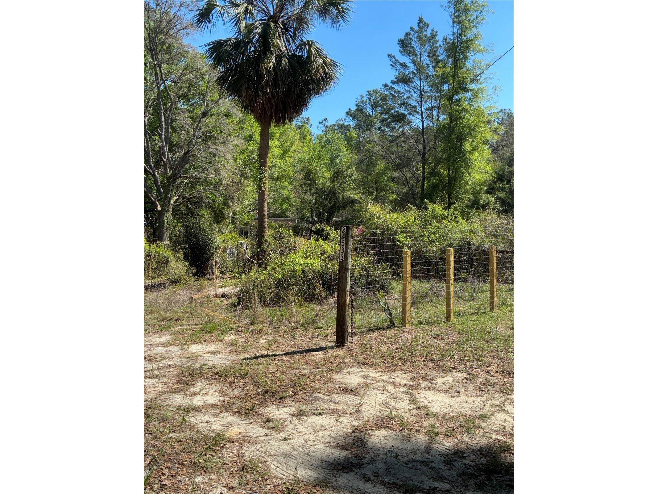 24533 Pink Panther Road Paisley FL 32767 G5110075 image29